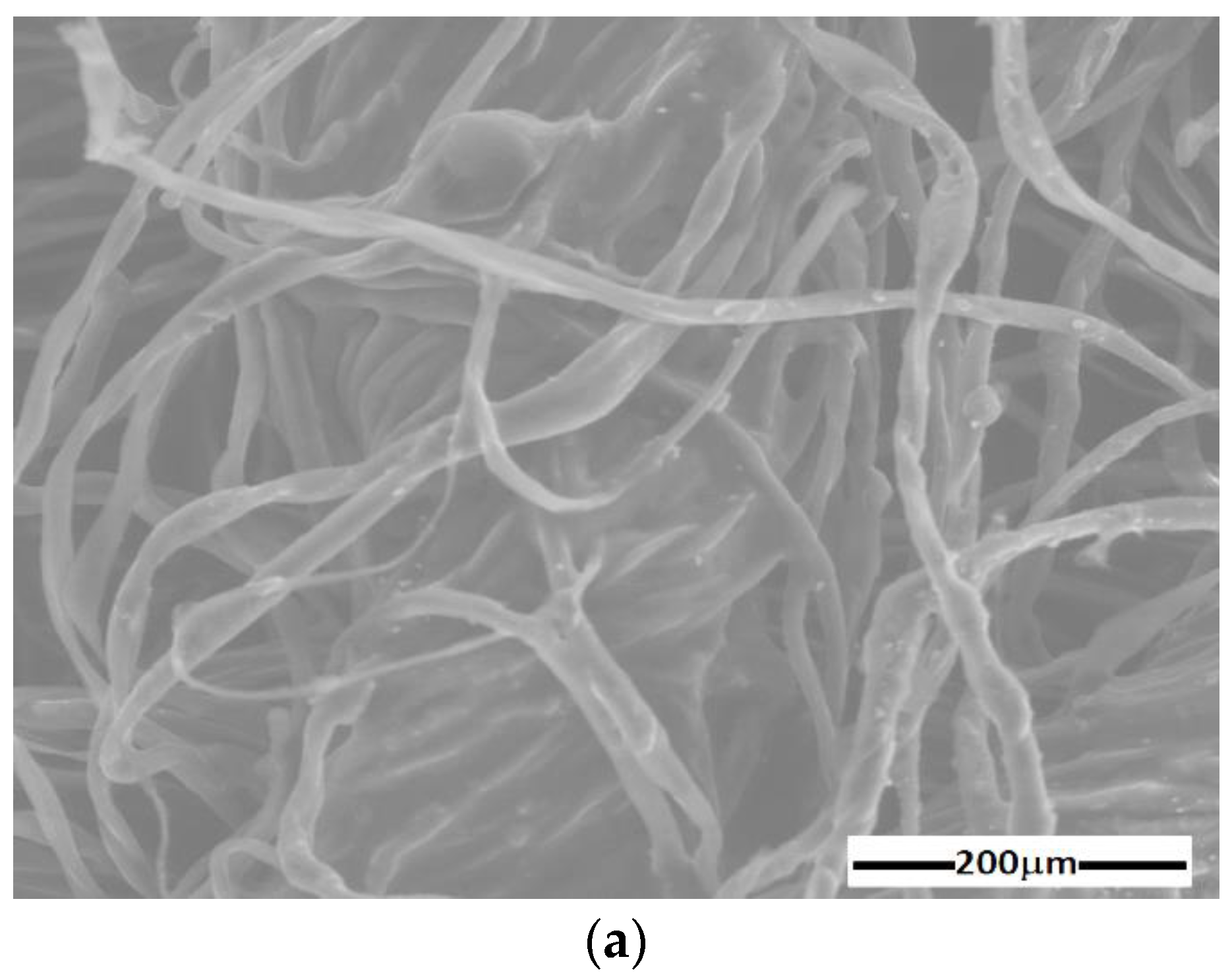Materials 16 01995 g004a