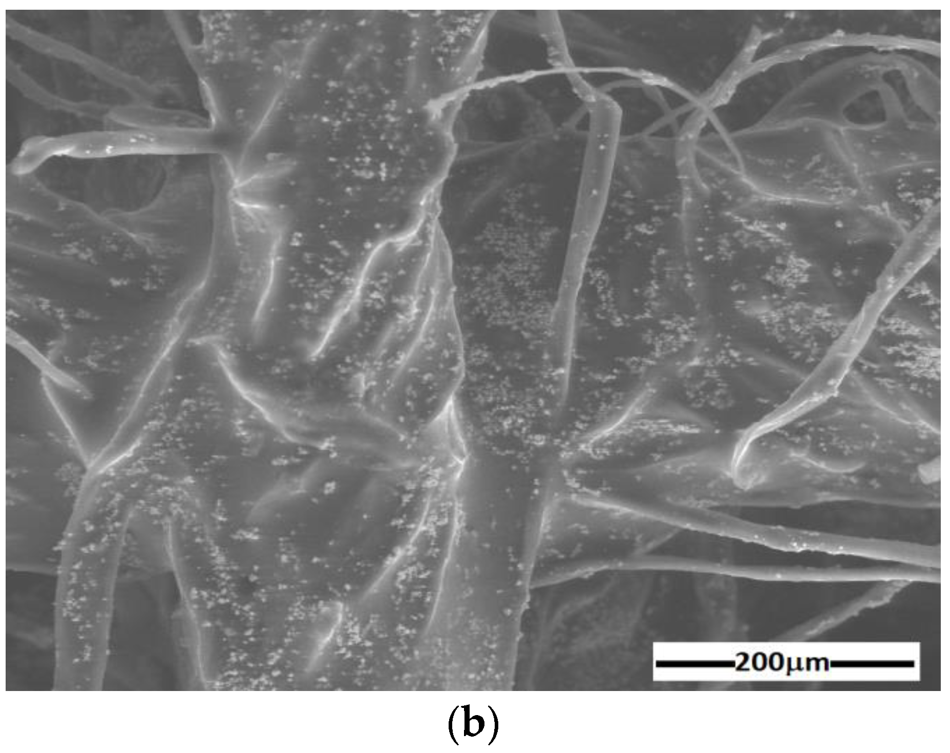 Materials 16 01995 g004b