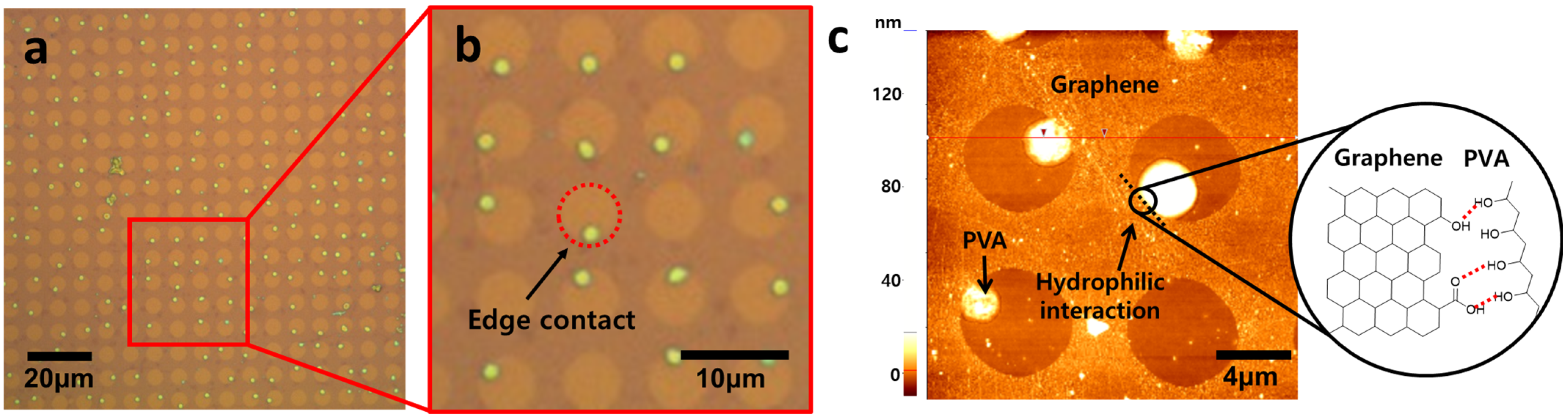 Materials 16 02001 g005