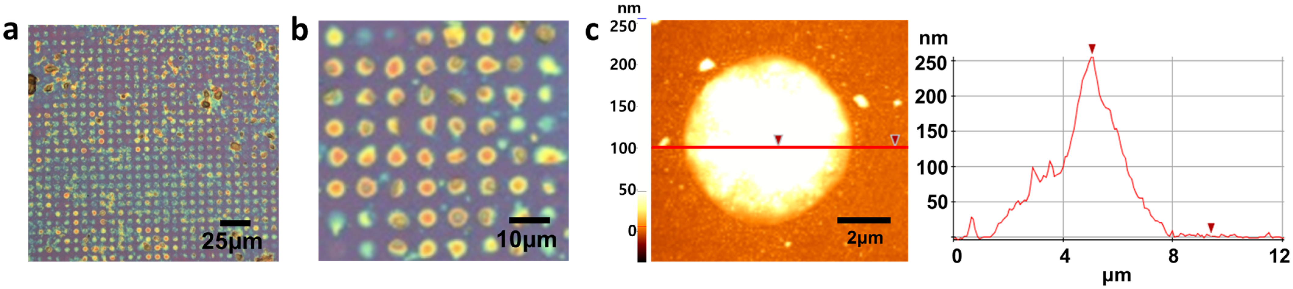Materials 16 02001 g006