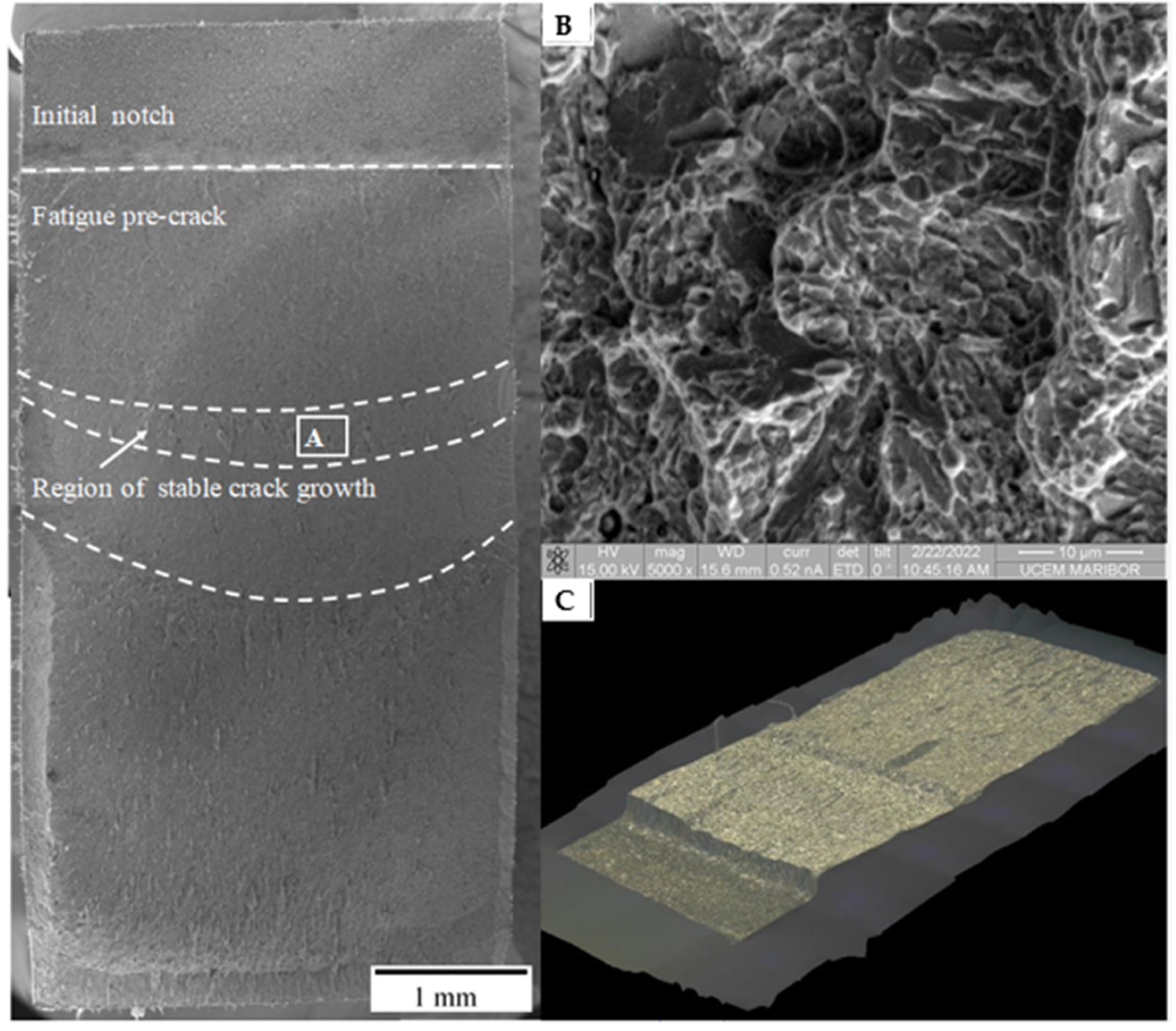 Materials 16 02003 g007