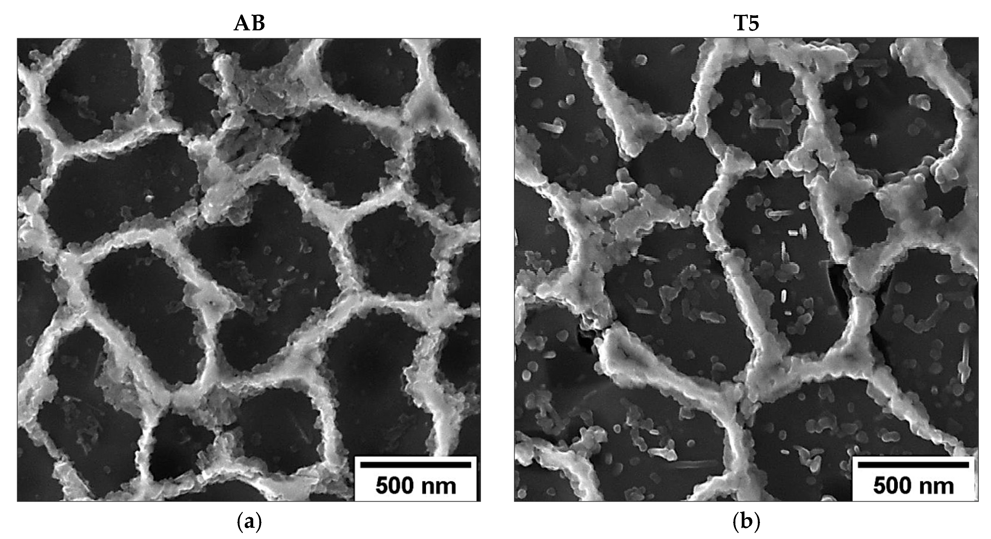 Materials 16 02006 g007a Materials 16 02006 g007a
