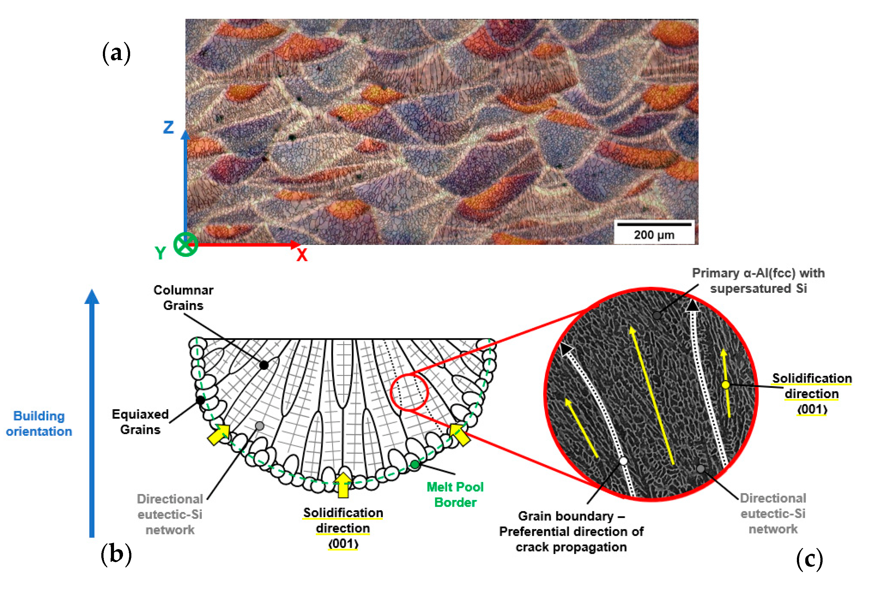 Materials 16 02006 g011 Materials 16 02006 g011