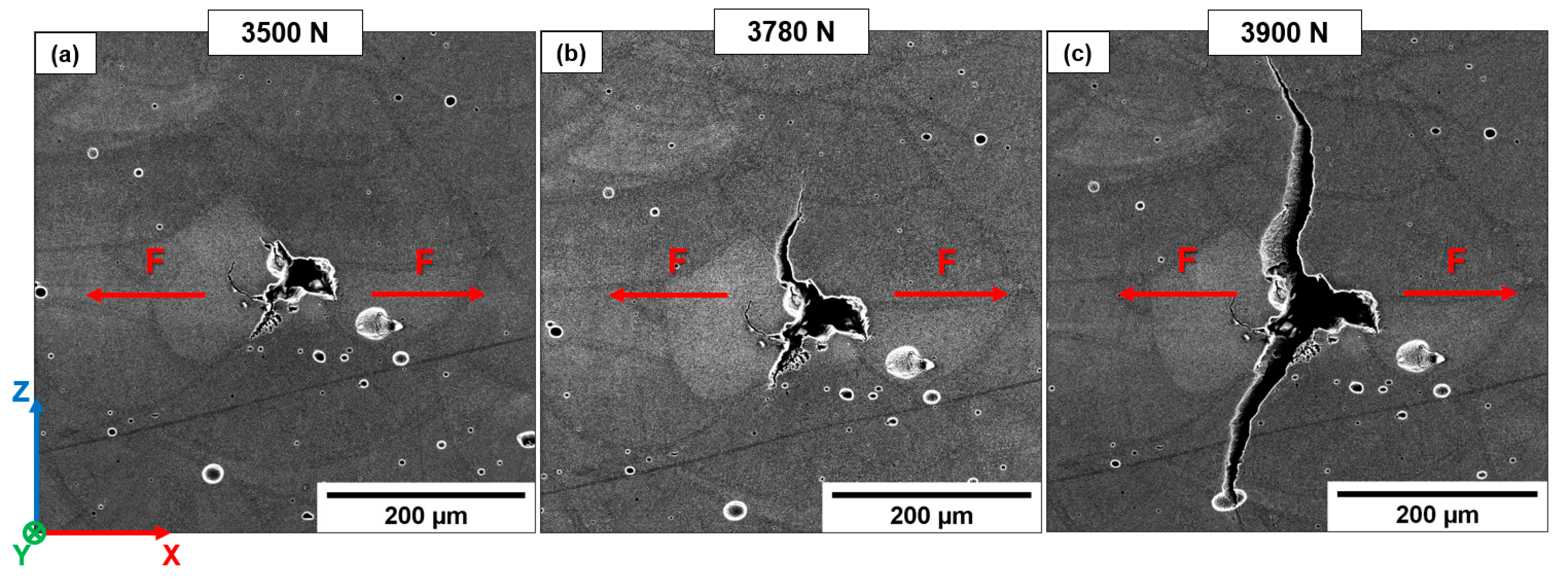 Materials 16 02006 g015 Materials 16 02006 g015