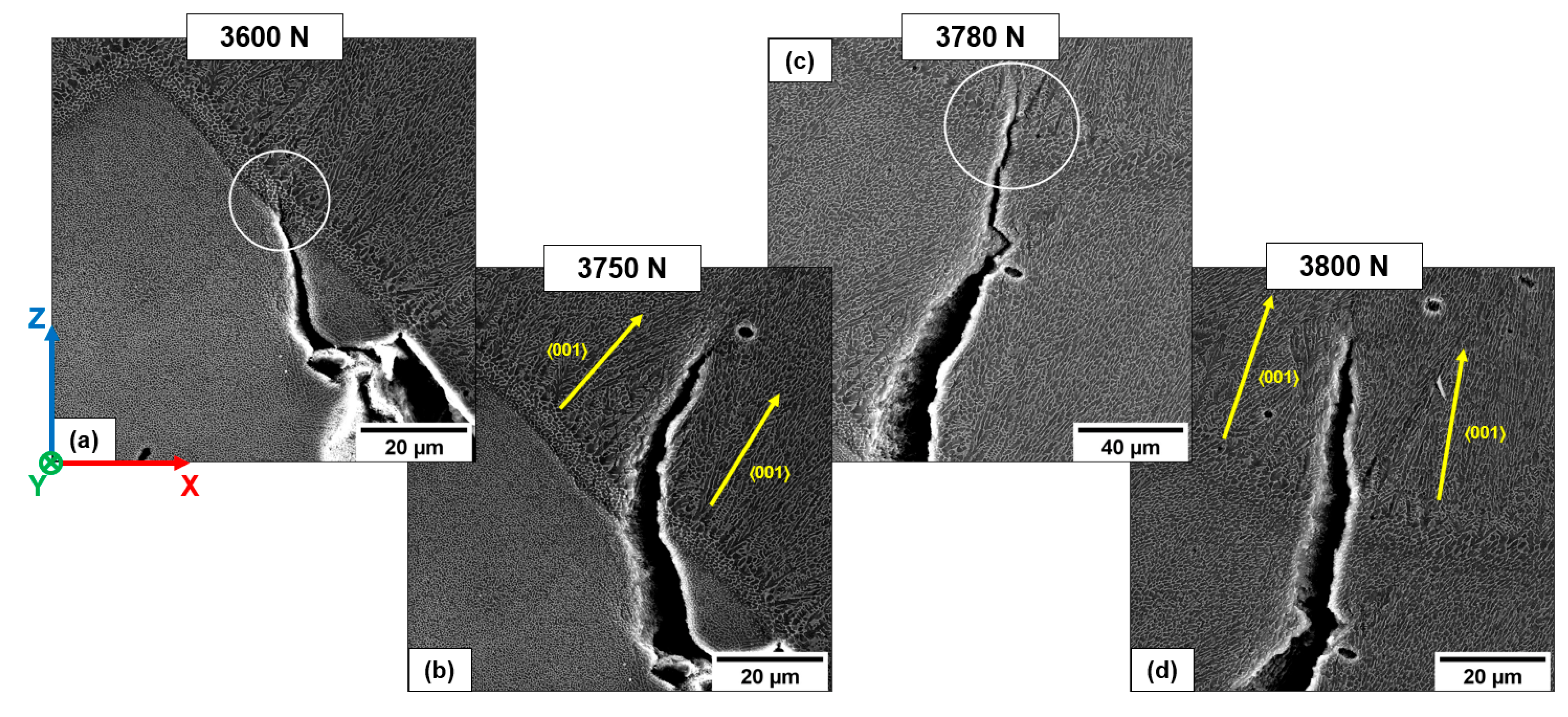 Materials 16 02006 g016 Materials 16 02006 g016