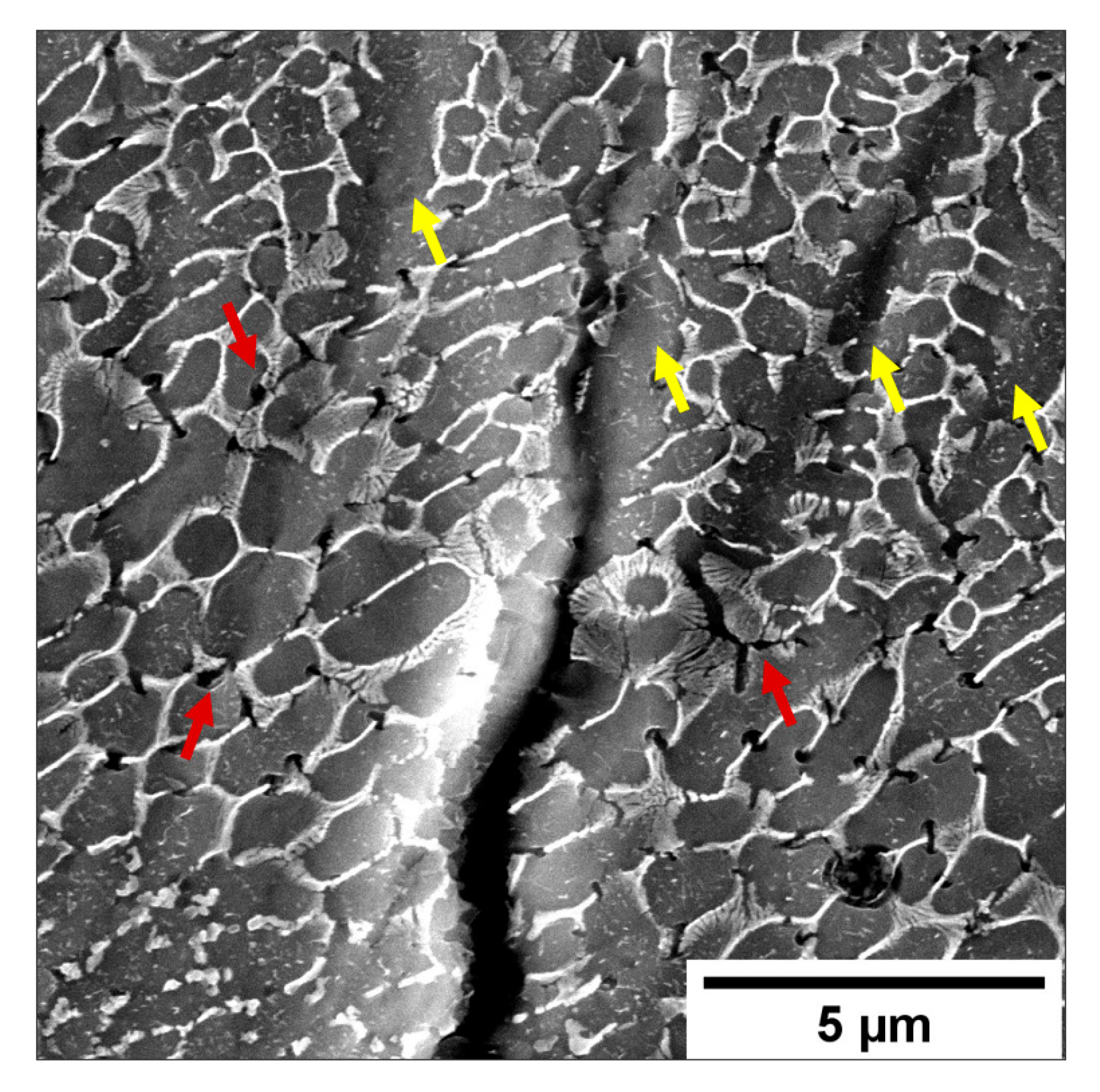 Materials 16 02006 g017 Materials 16 02006 g017