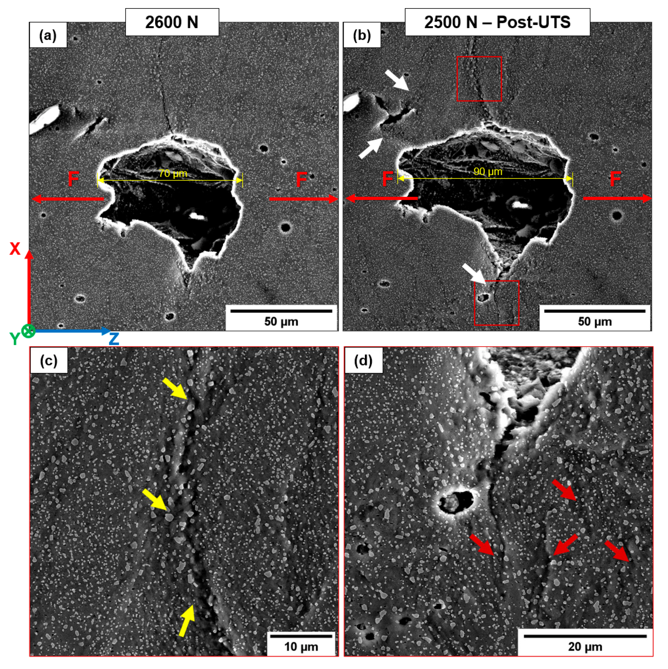 Materials 16 02006 g022 Materials 16 02006 g022
