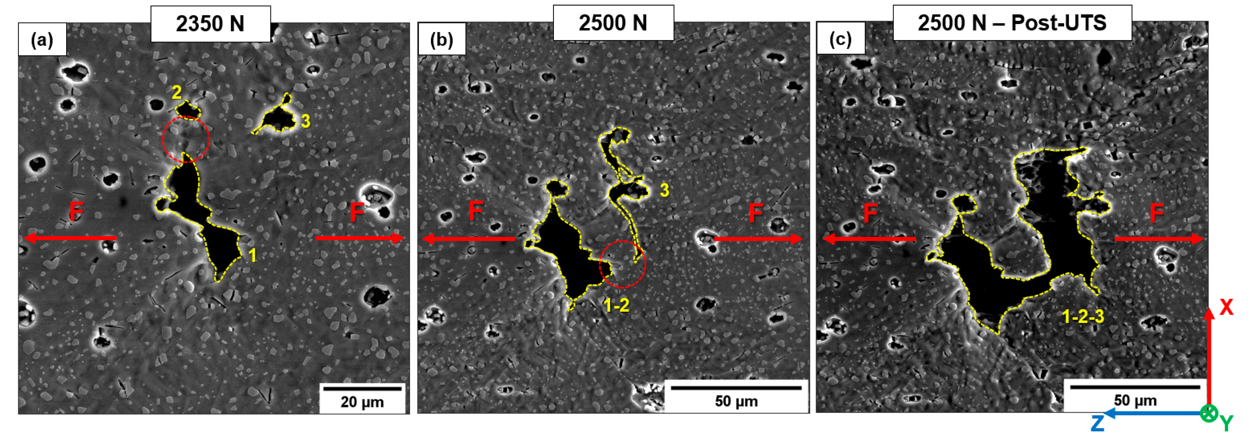 Materials 16 02006 g023 Materials 16 02006 g023