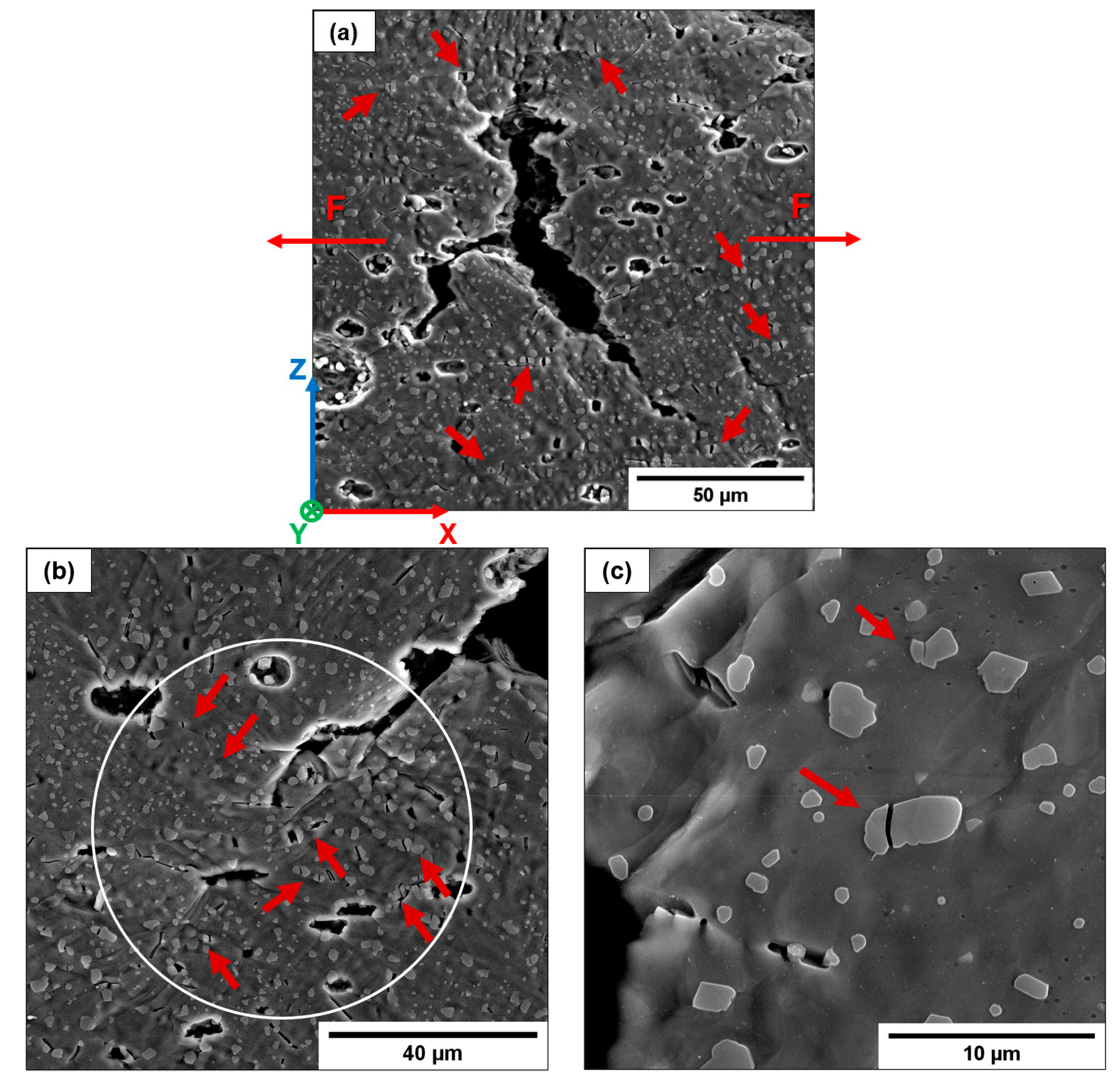 Materials 16 02006 g024 Materials 16 02006 g024
