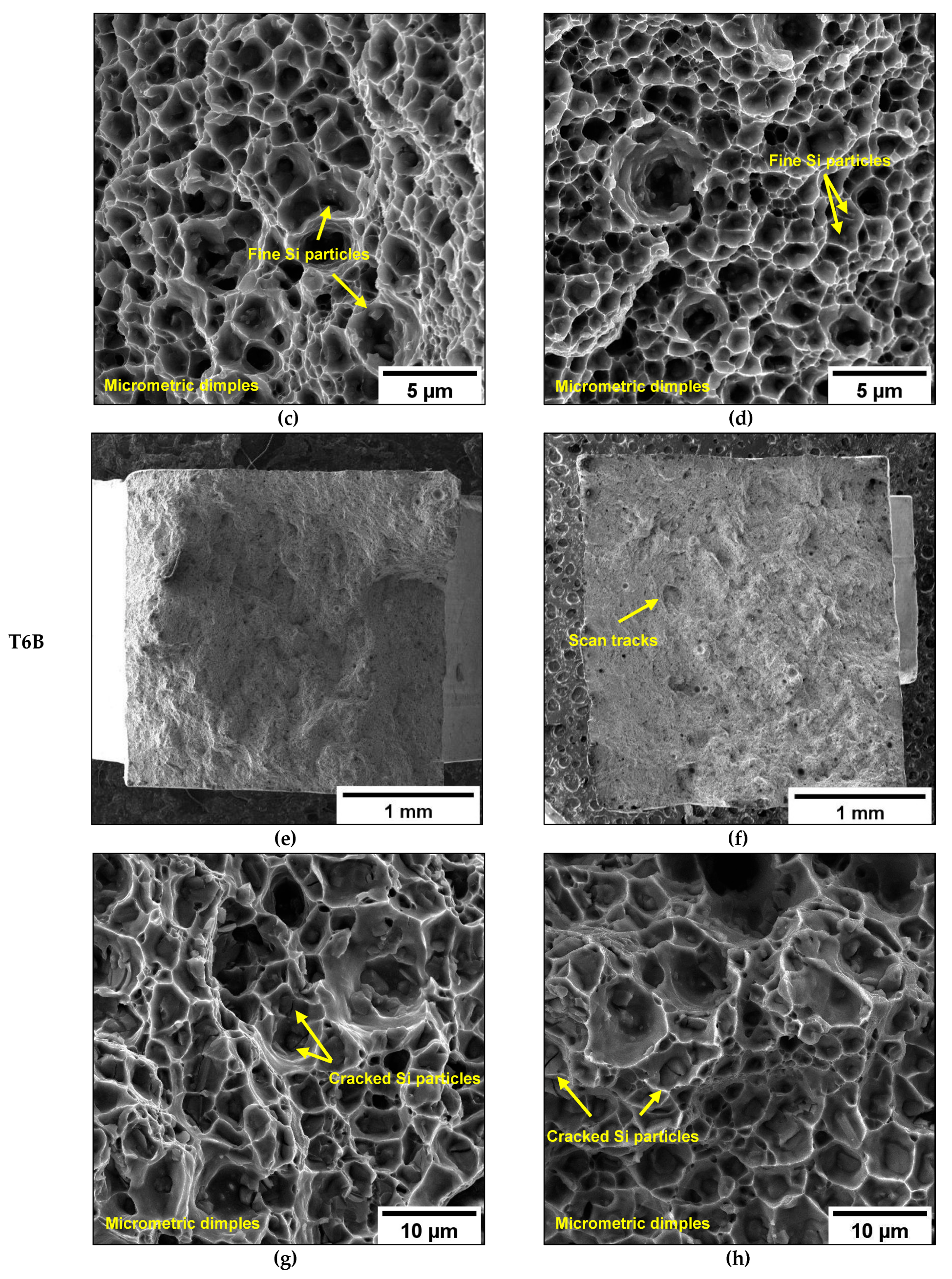 Materials 16 02006 g027 Materials 16 02006 g027