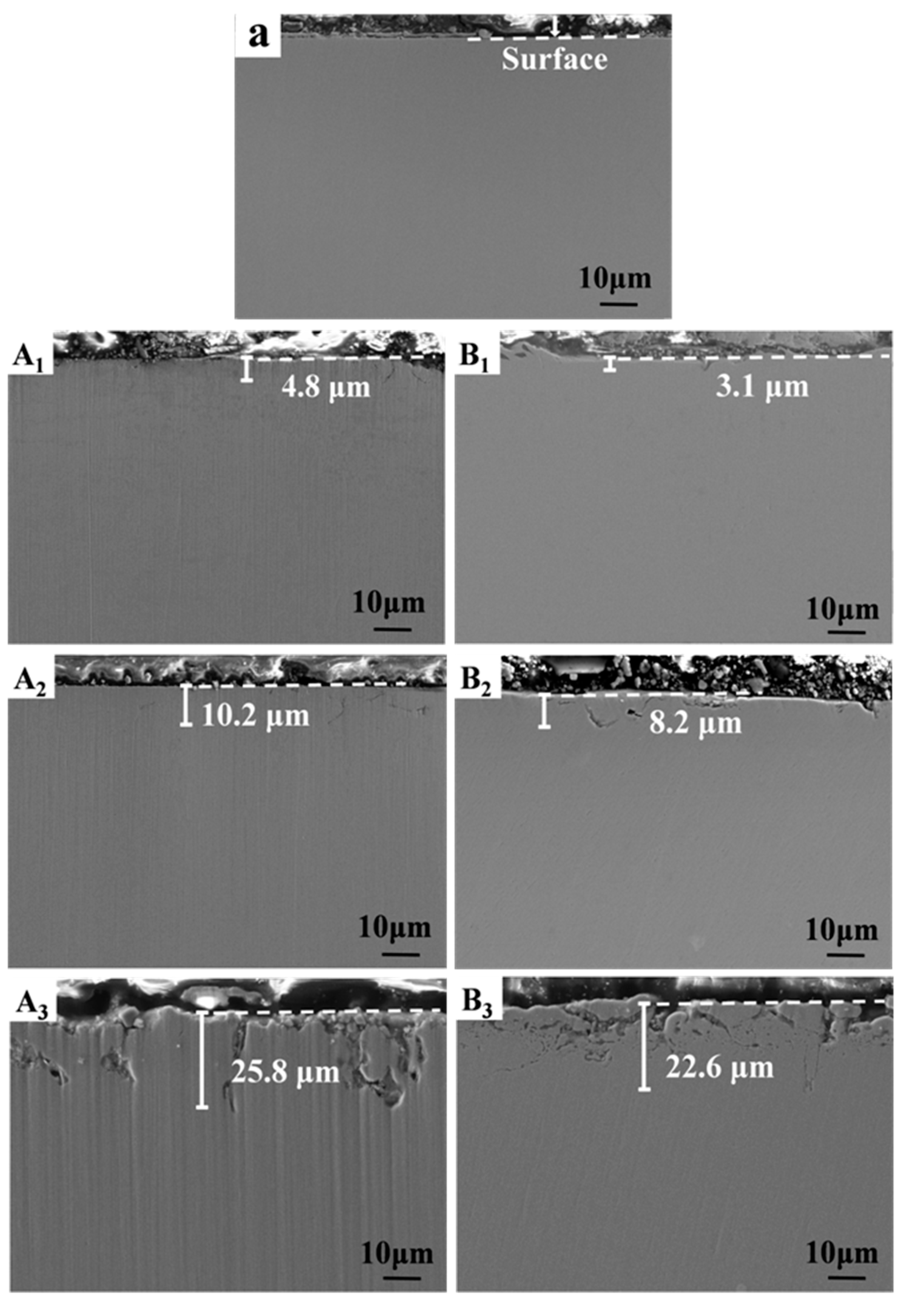 Materials 16 02025 g004 Materials 16 02025 g004