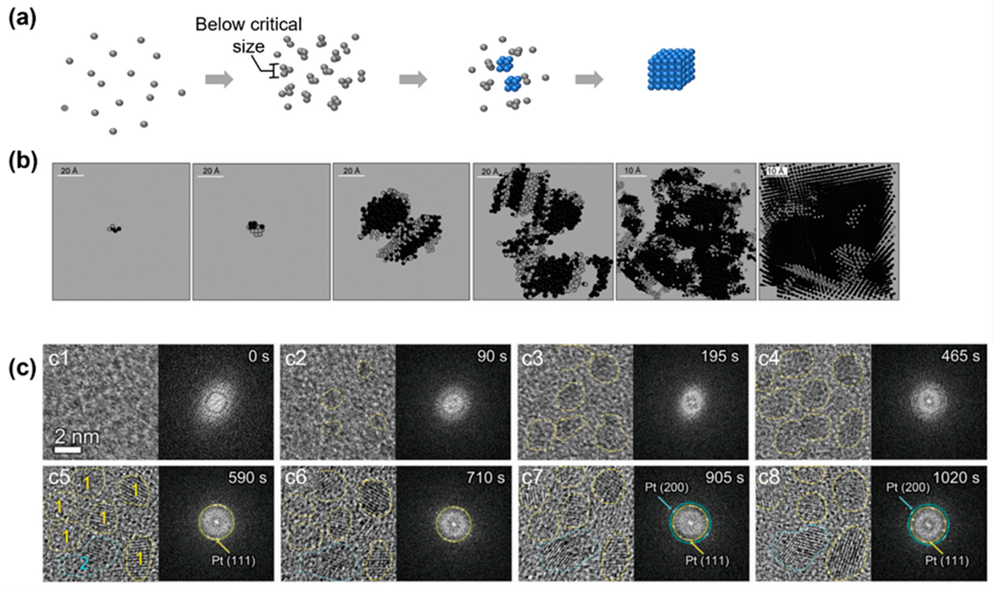 Materials 16 02026 g003 Materials 16 02026 g003