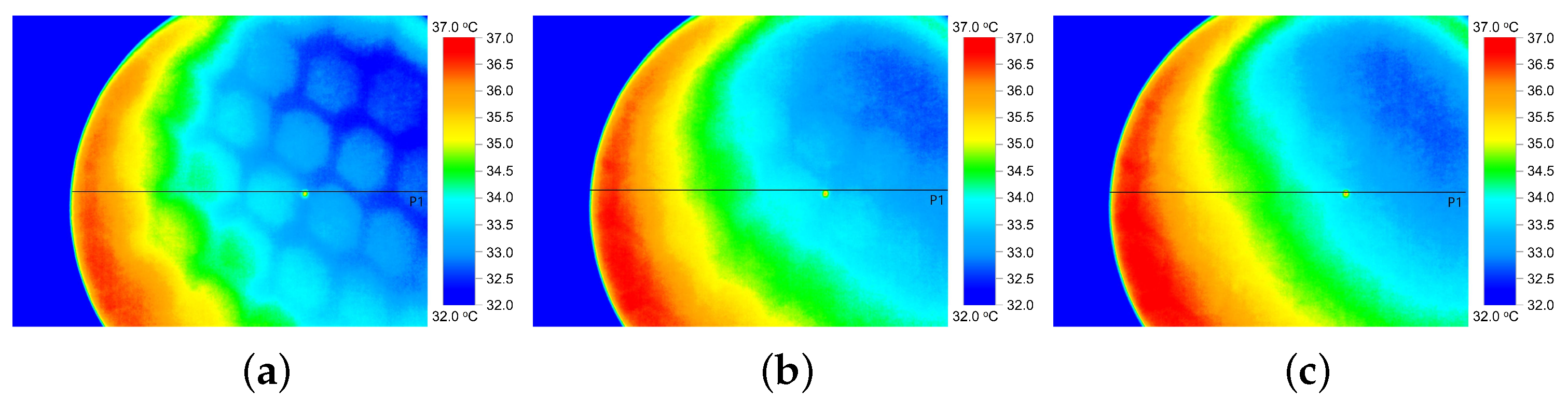 Materials 16 02028 g004 Materials 16 02028 g004