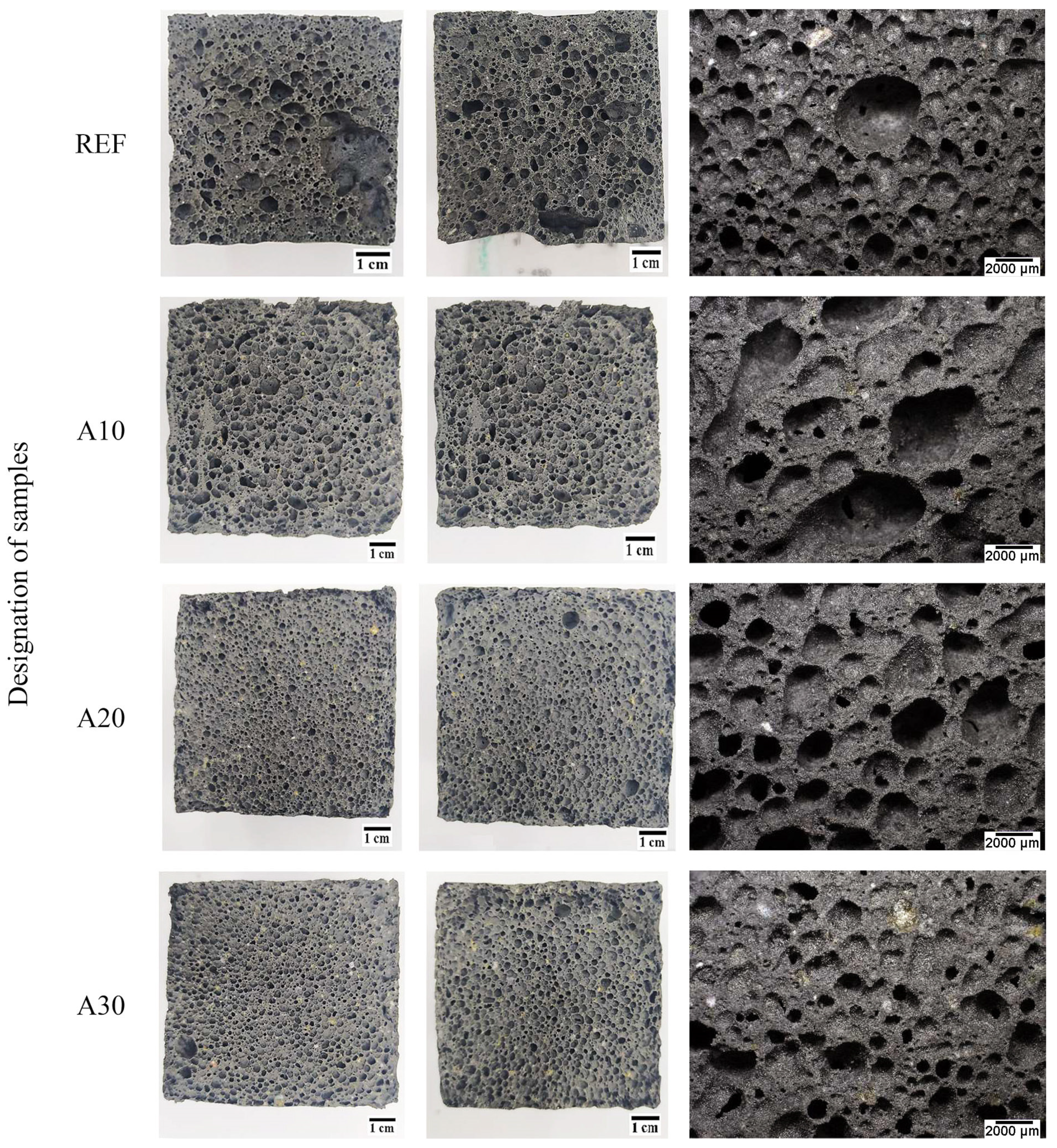Materials 16 02044 g011 Materials 16 02044 g011