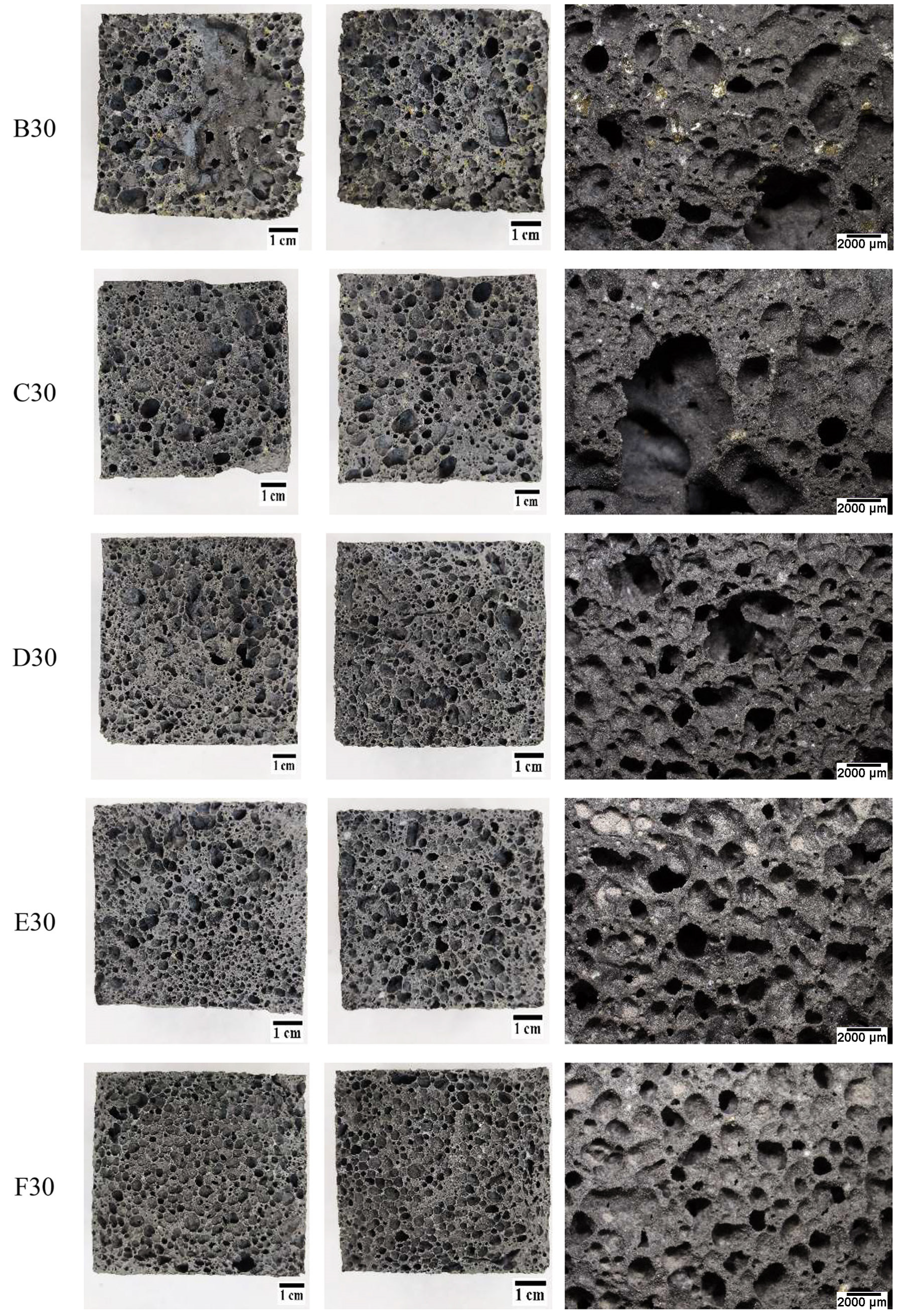 Materials 16 02044 g012 Materials 16 02044 g012