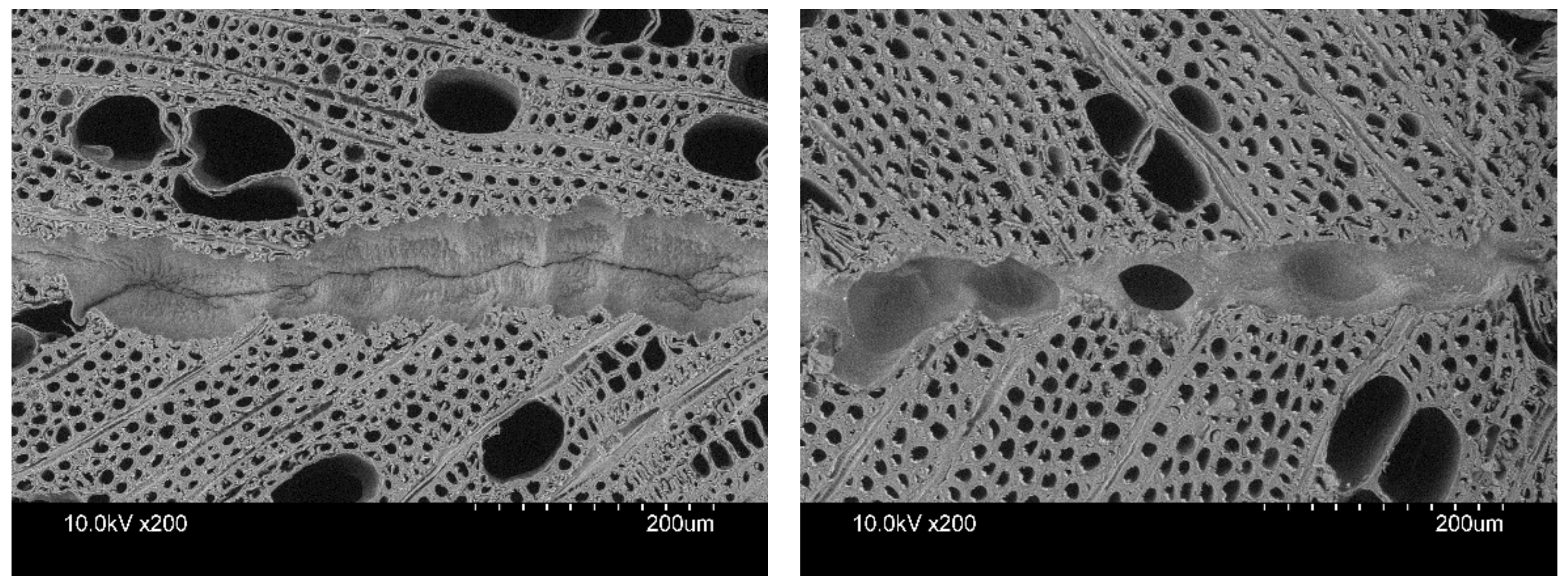 Materials 16 02046 g003