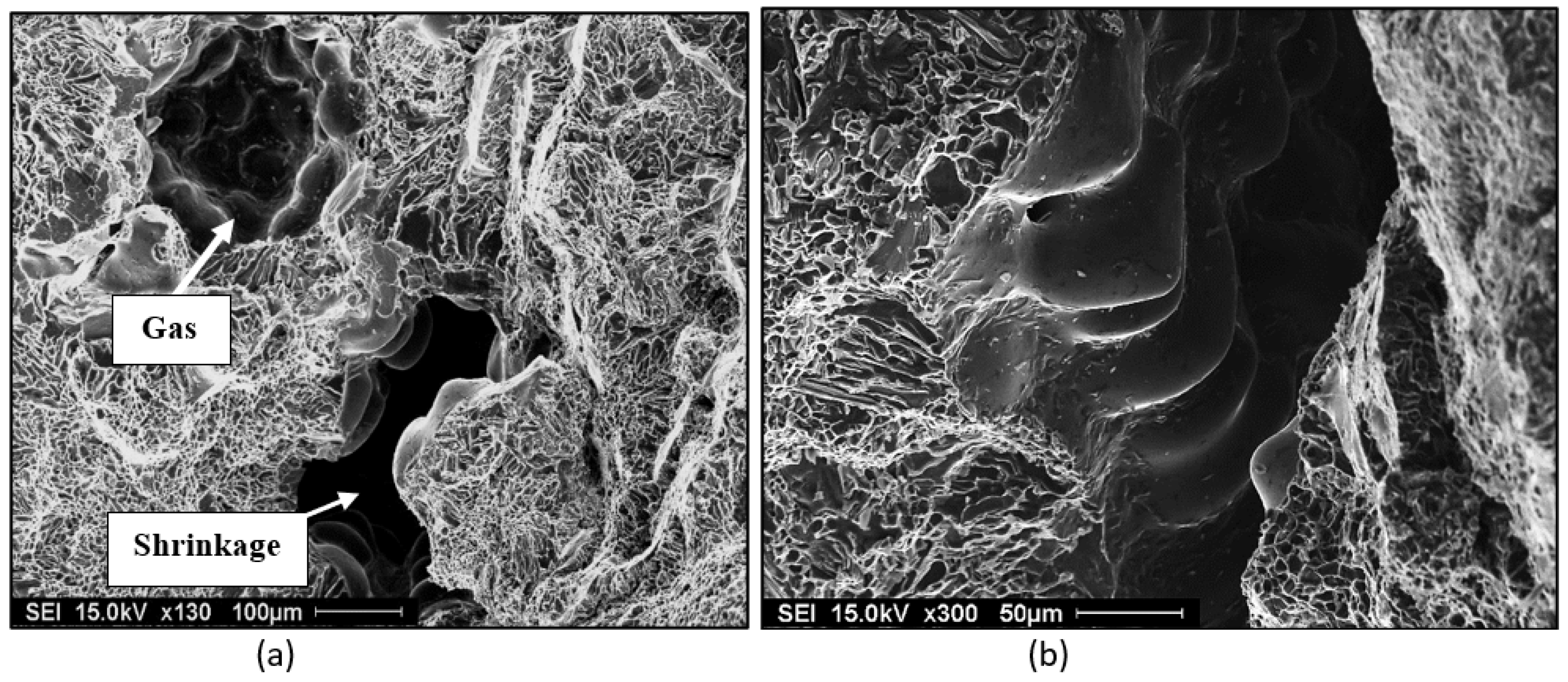 Materials 16 02047 g001