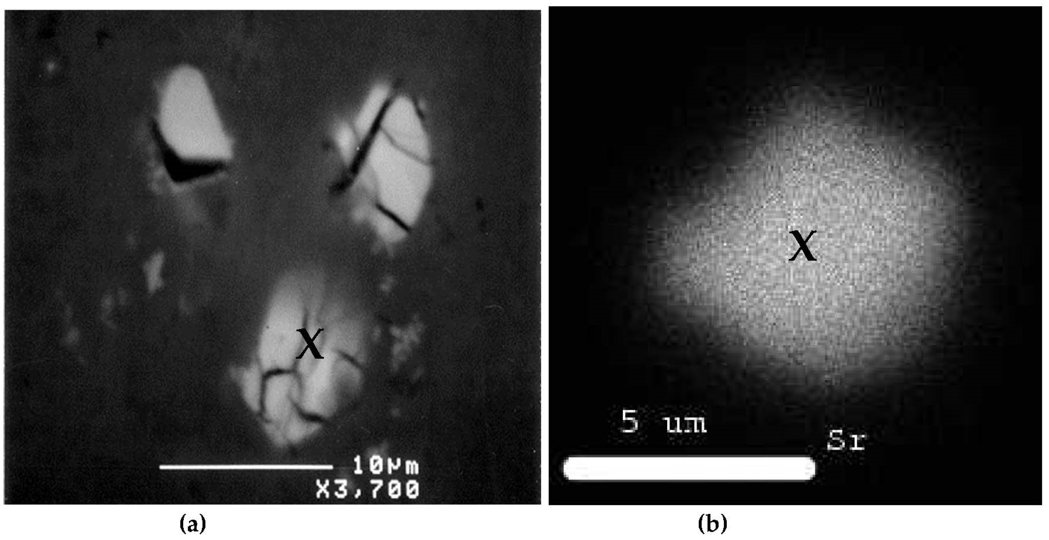 Materials 16 02047 g011