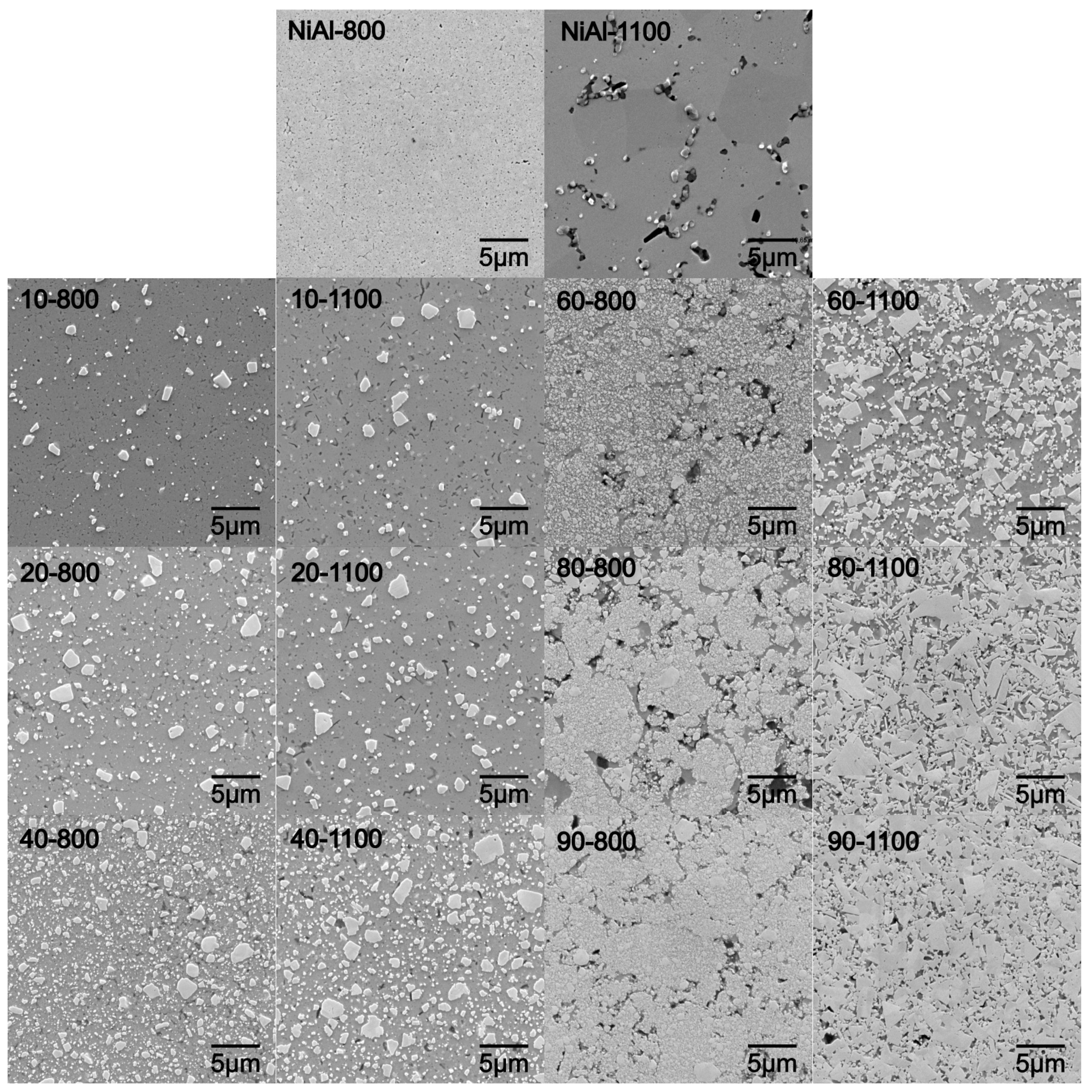 Materials 16 02048 g010 Materials 16 02048 g010