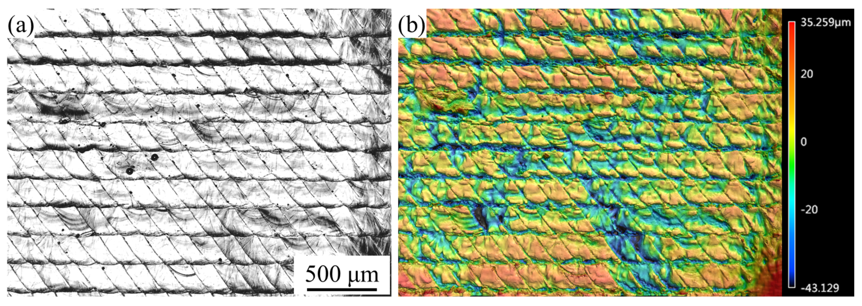 Materials 16 02062 g008 Materials 16 02062 g008
