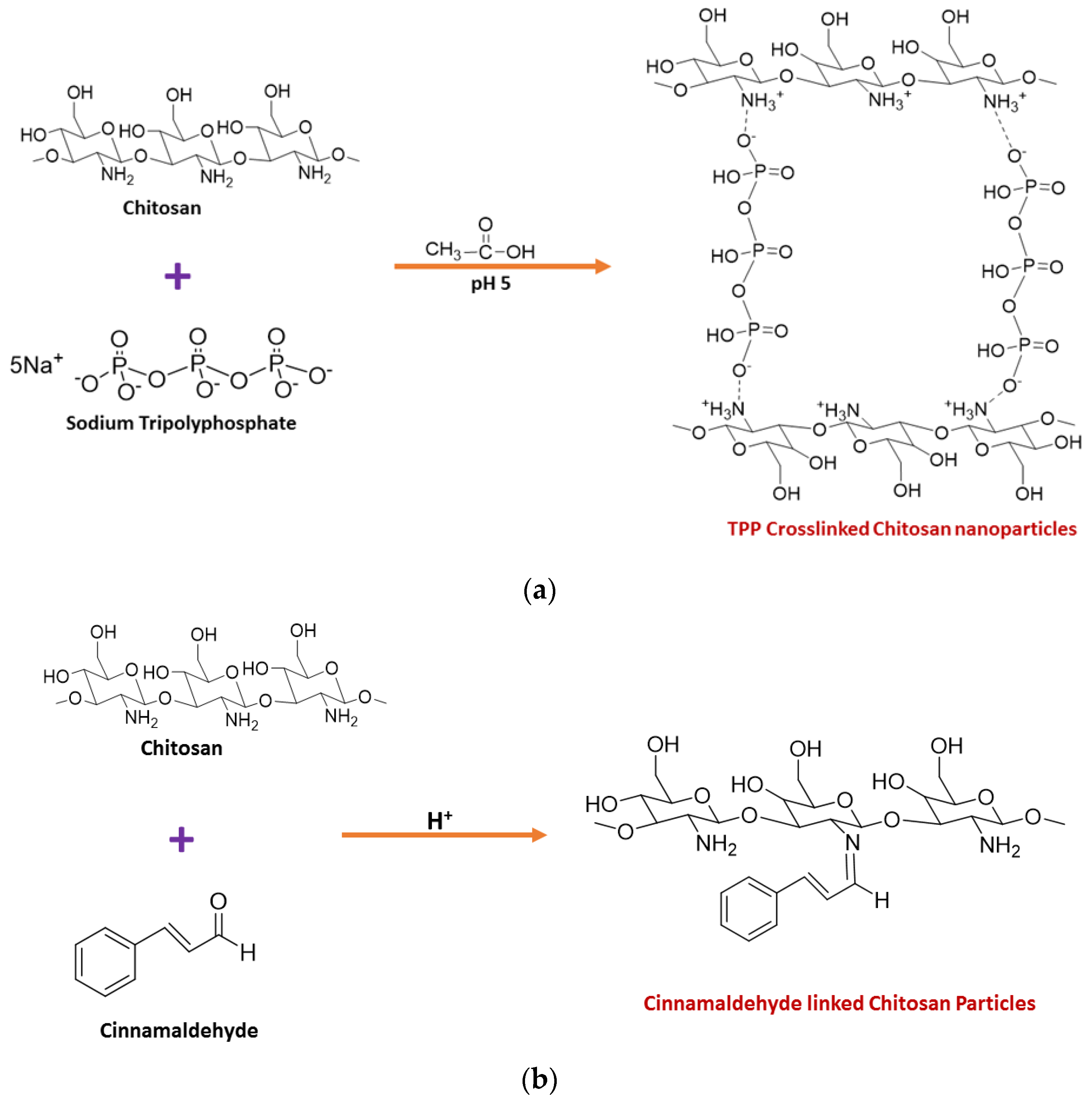 Materials 16 02073 g001a 550