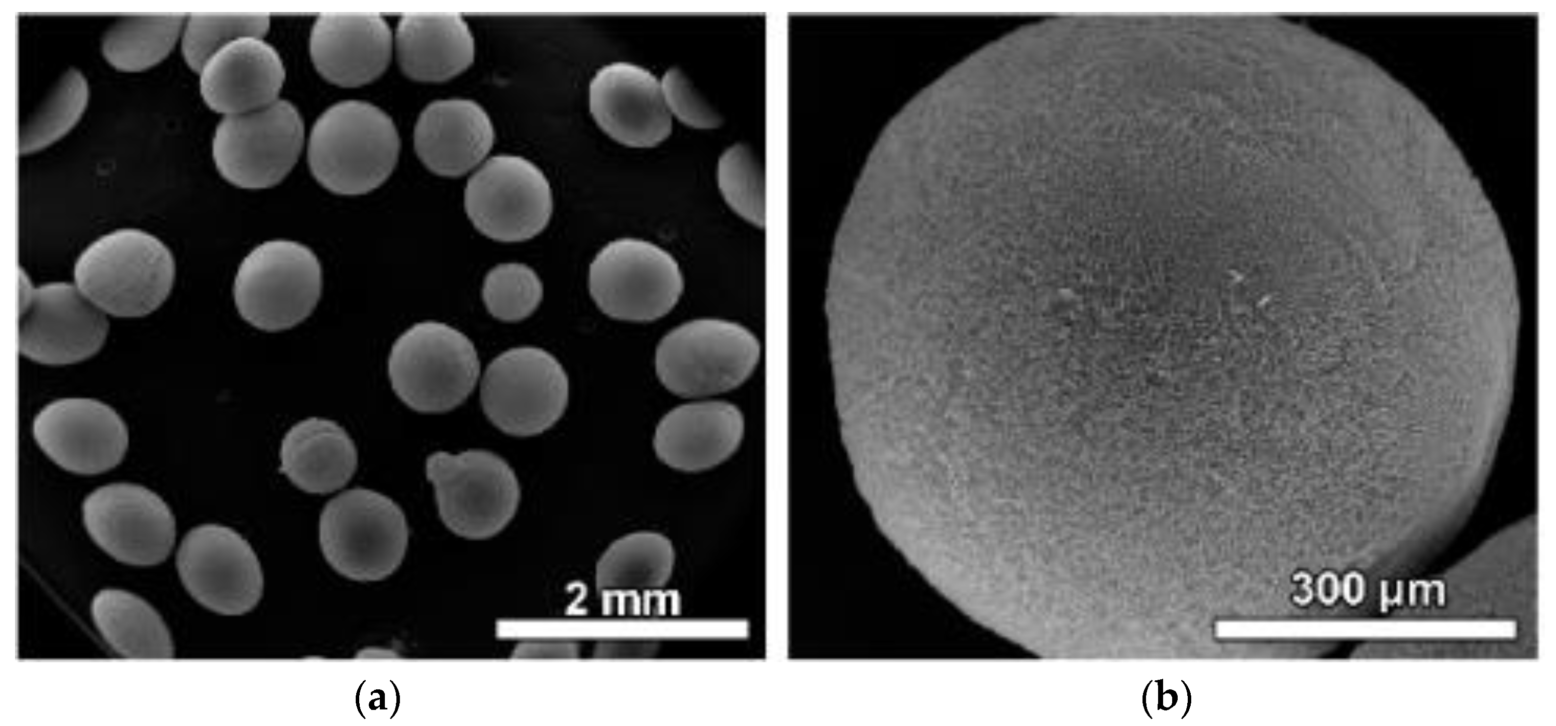 Materials 16 02073 g006 Materials 16 02073 g006