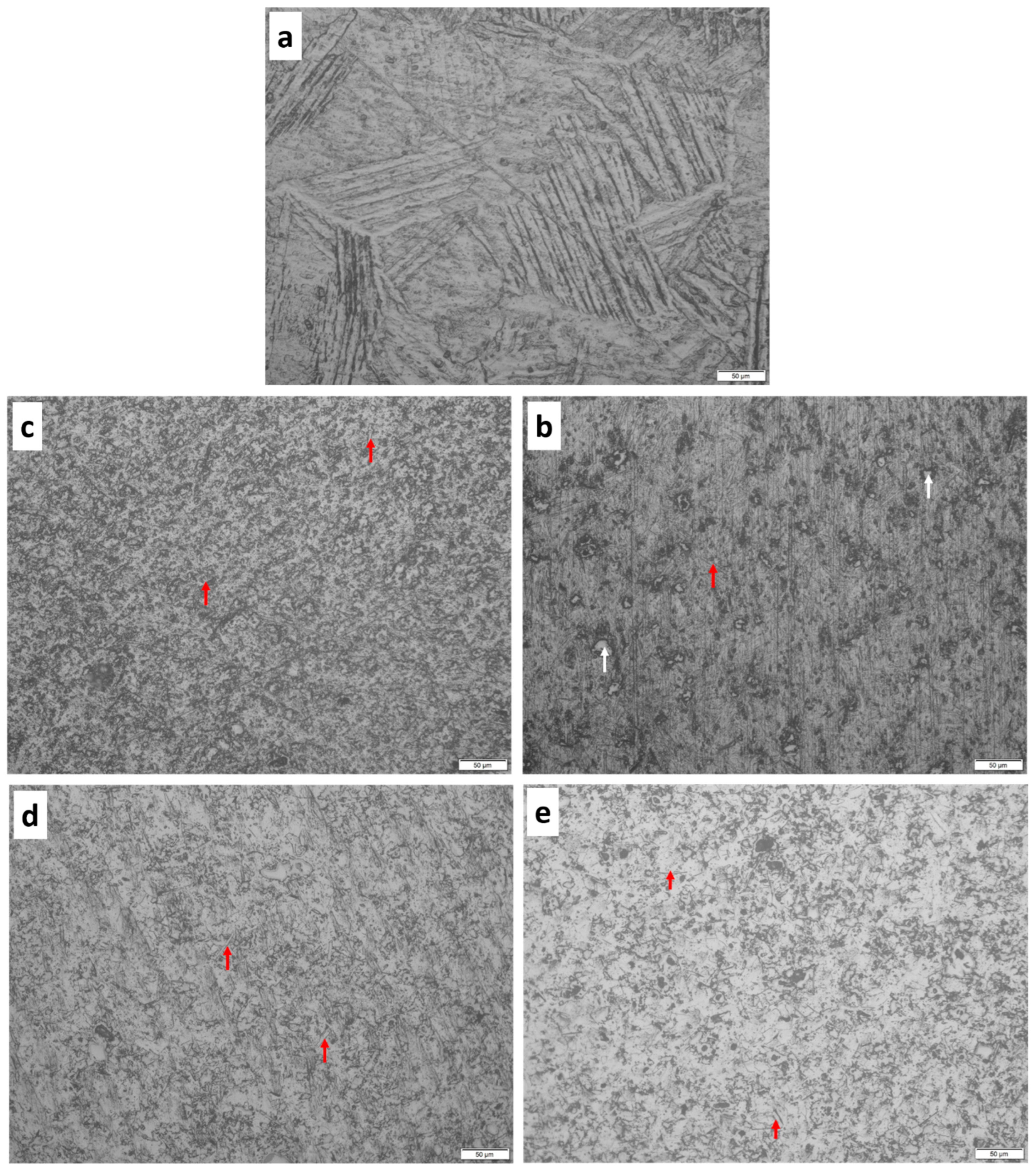 Materials 16 02078 g005 Materials 16 02078 g005
