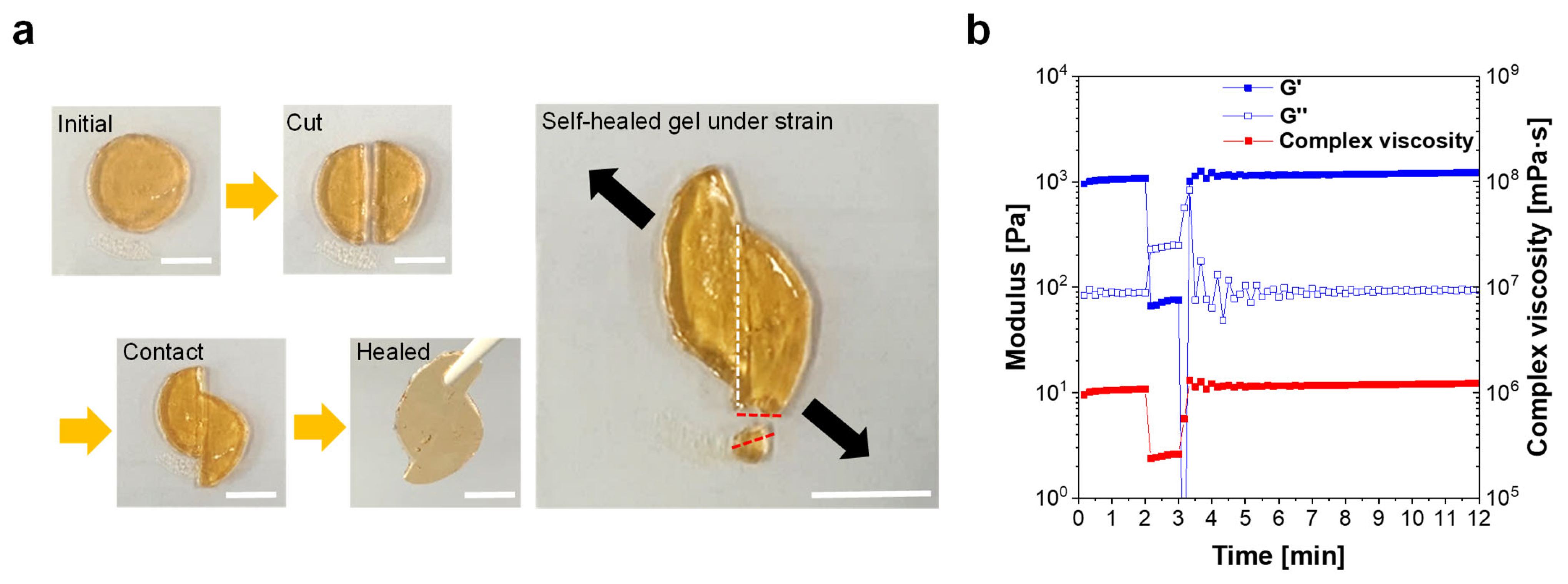Materials 16 02085 g002