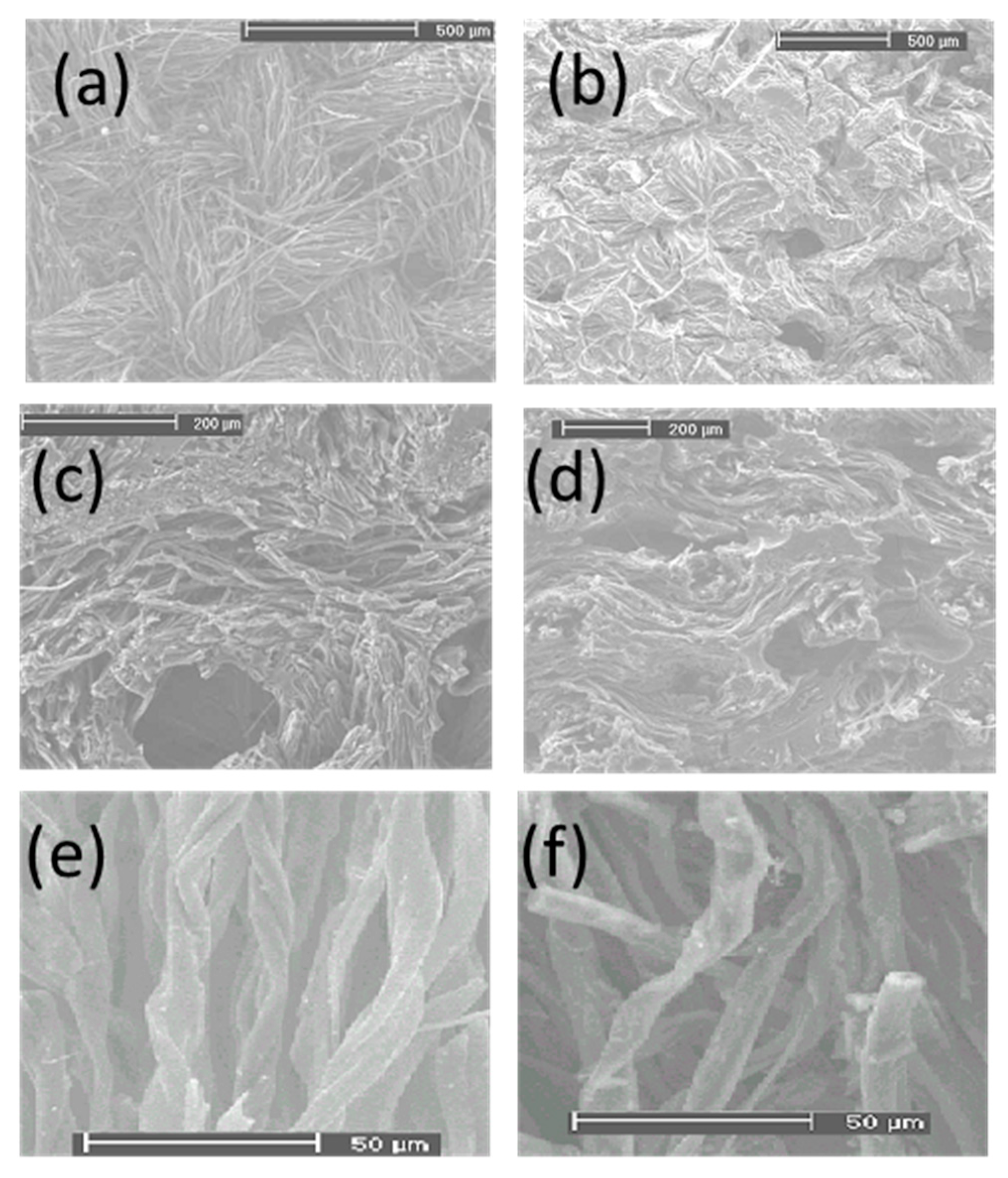 Materials 16 02101 g003