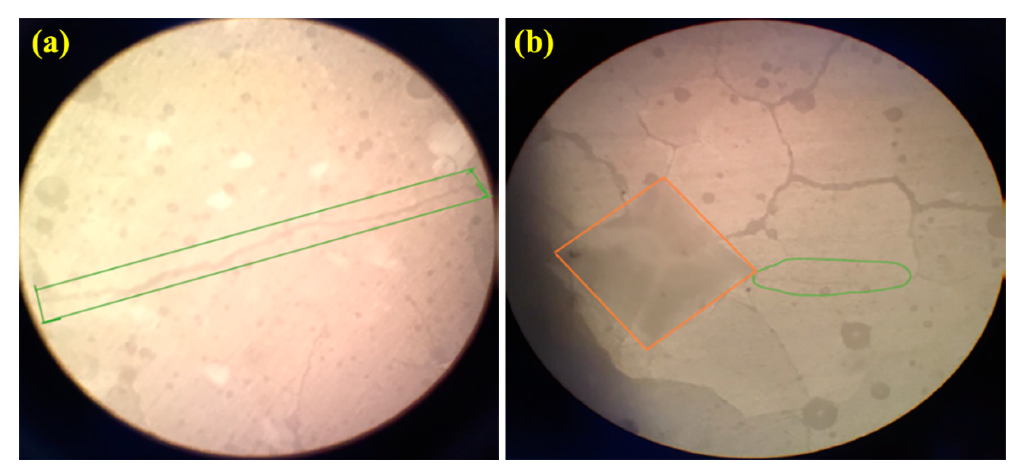 Materials 16 02107 g010 Materials 16 02107 g010
