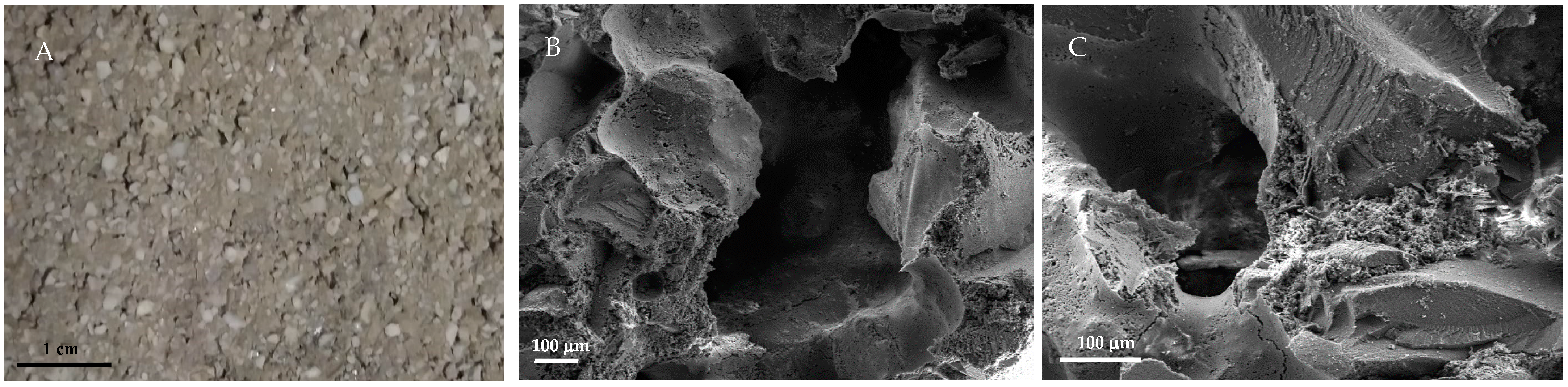 Materials 16 02111 g008 Materials 16 02111 g008