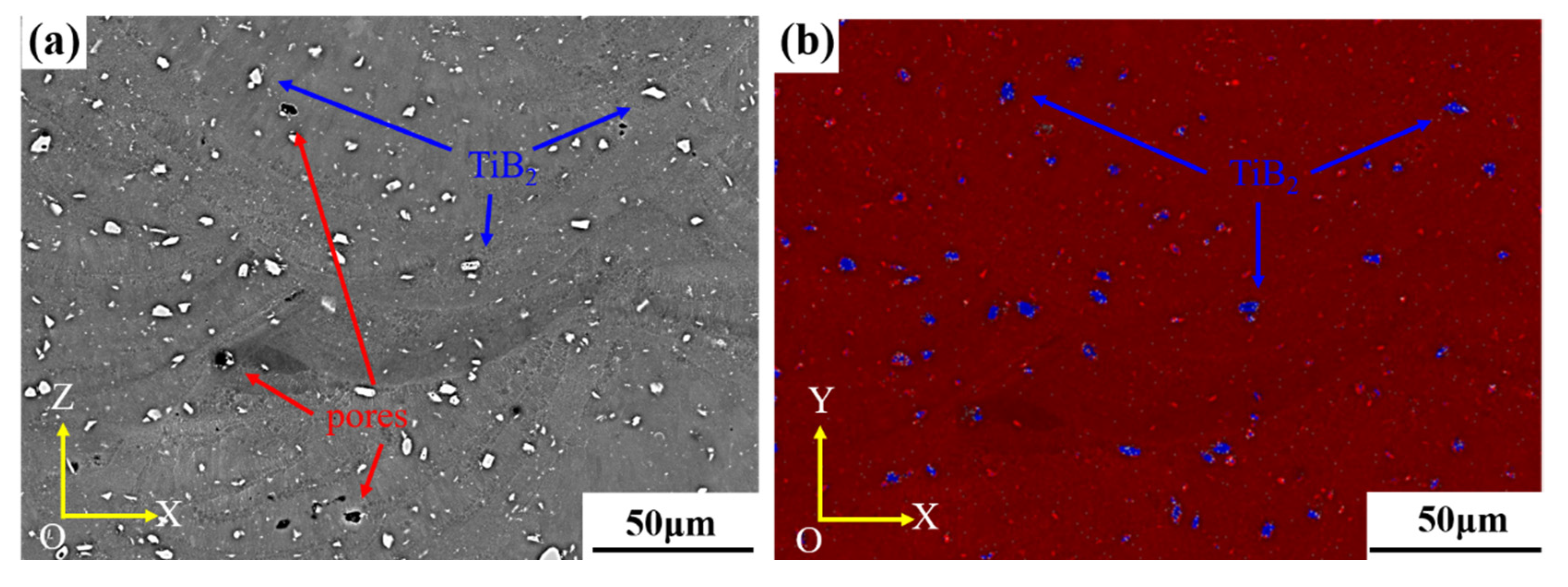 Materials 16 02112 g004 Materials 16 02112 g004