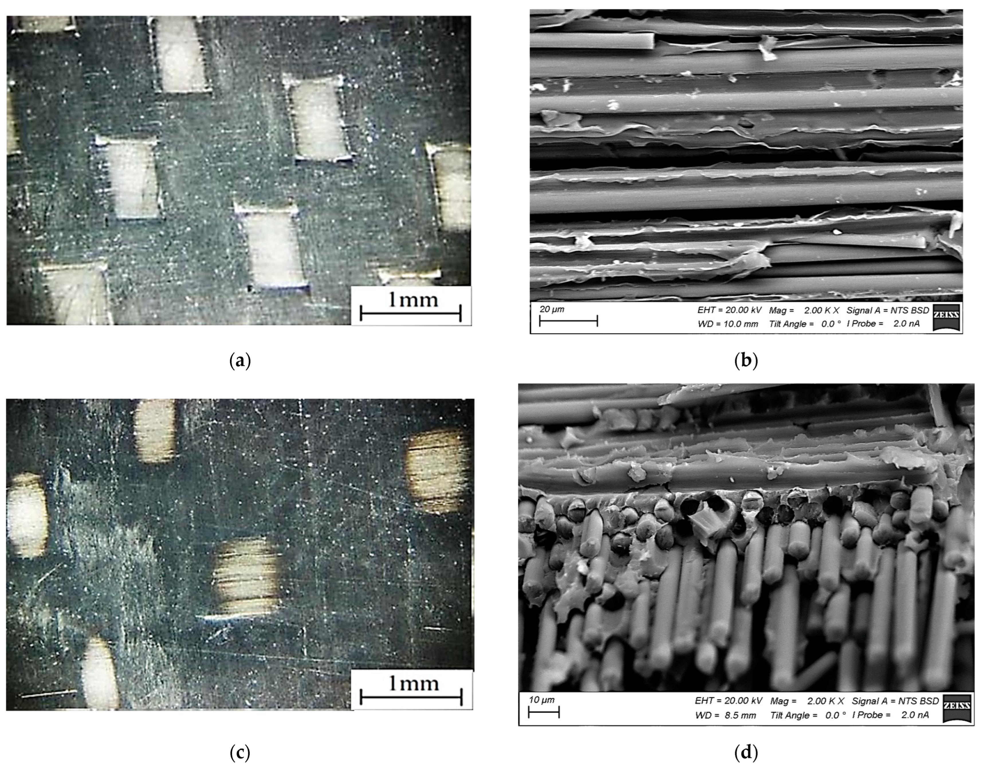 Materials 16 02115 g003