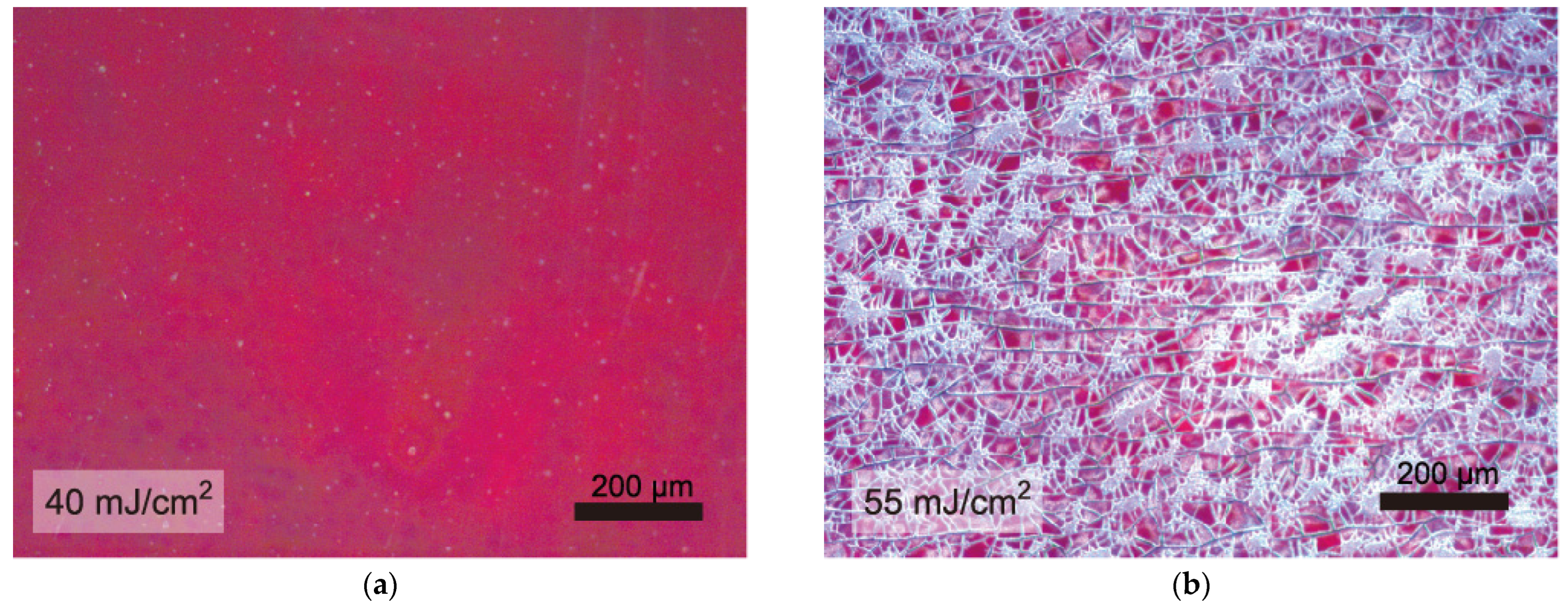 Materials 16 02116 g004