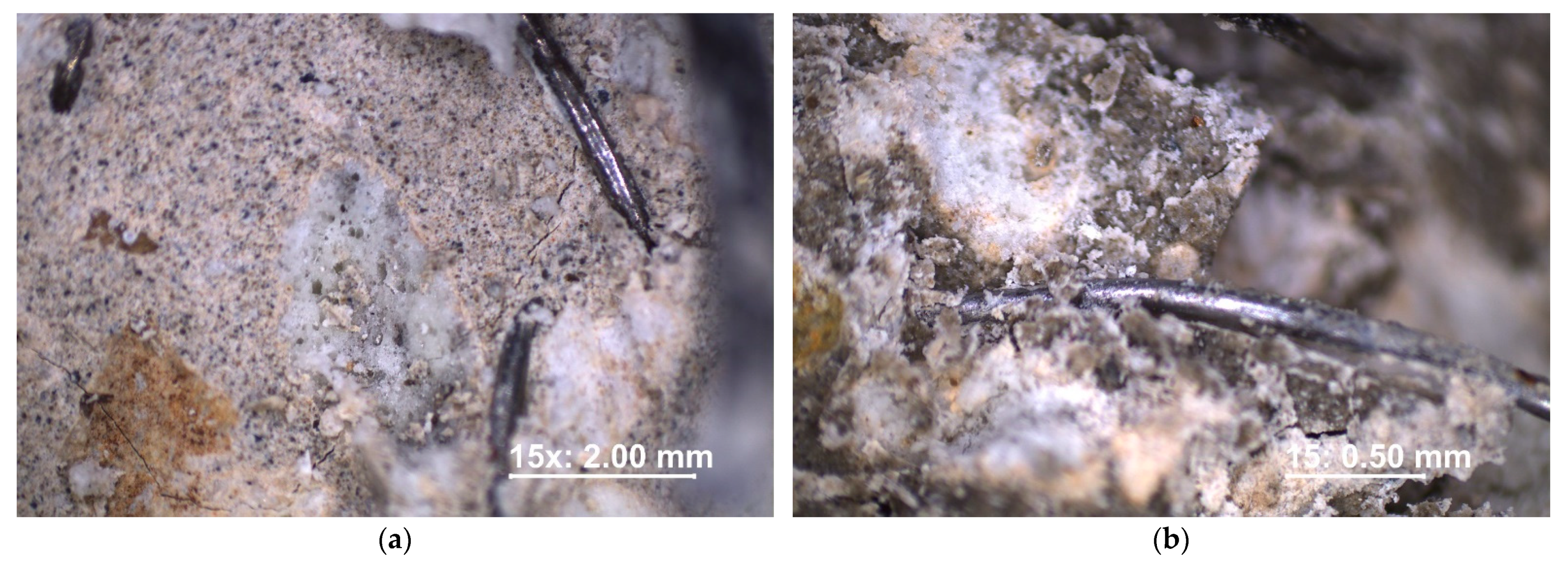 Materials 16 02124 g013 Materials 16 02124 g013