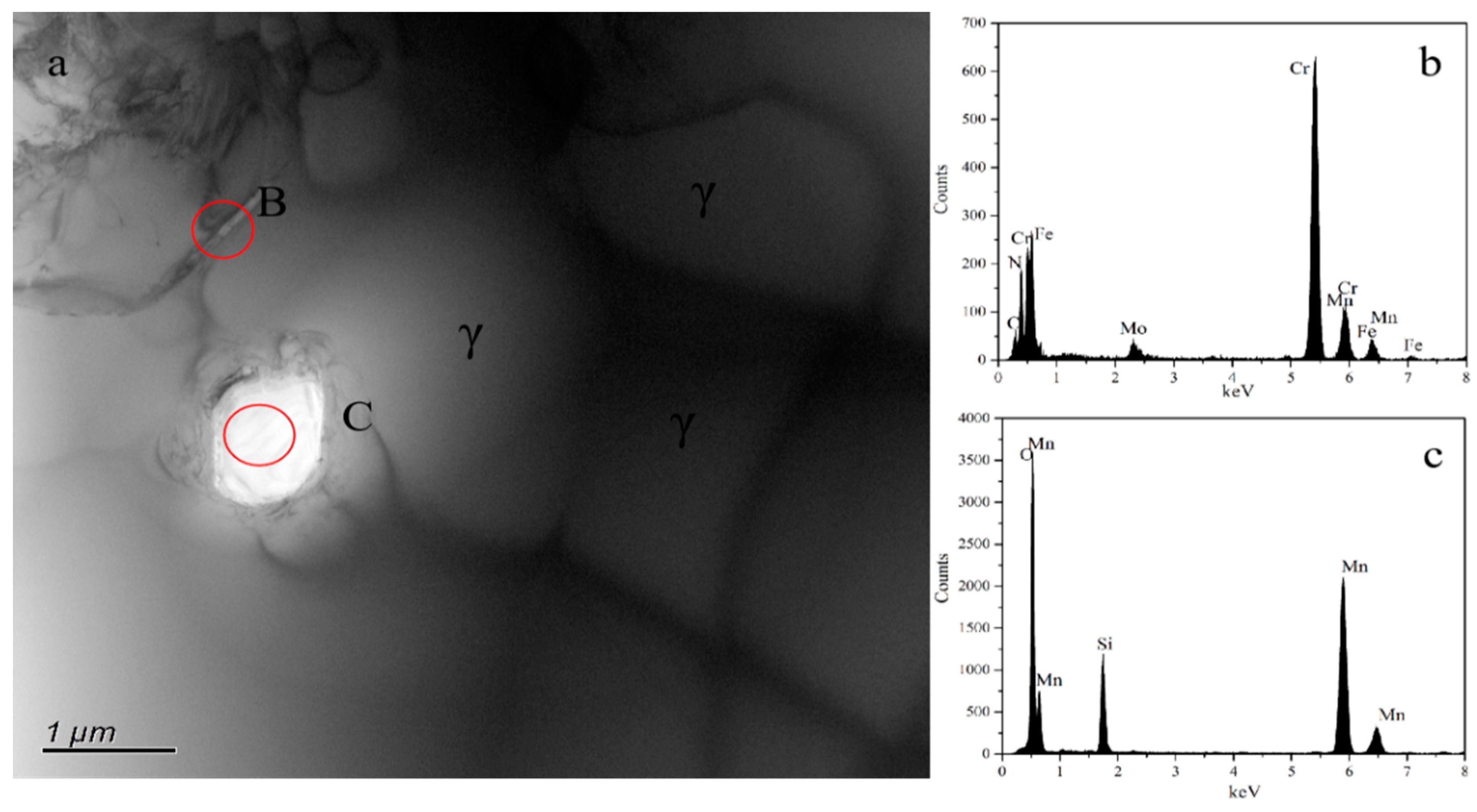 Materials 16 02135 g005