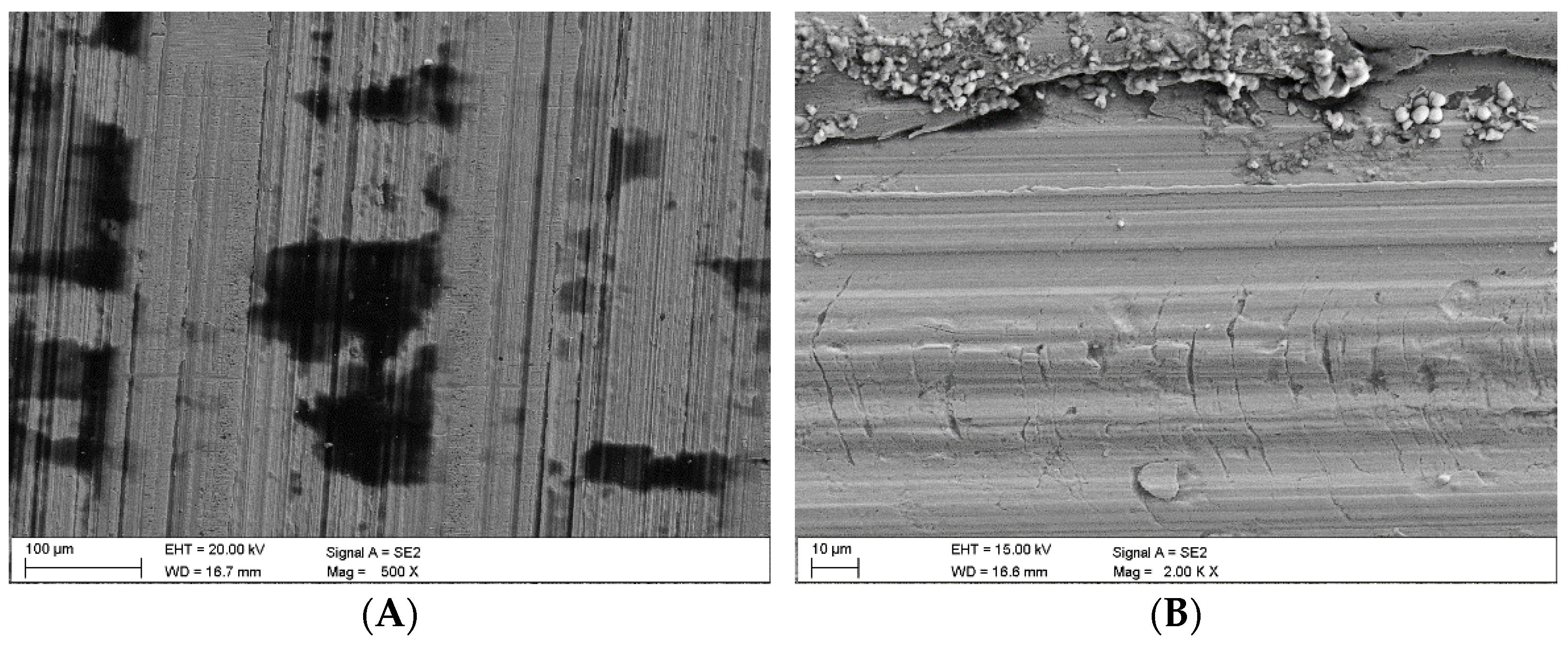 Materials 16 02136 g008