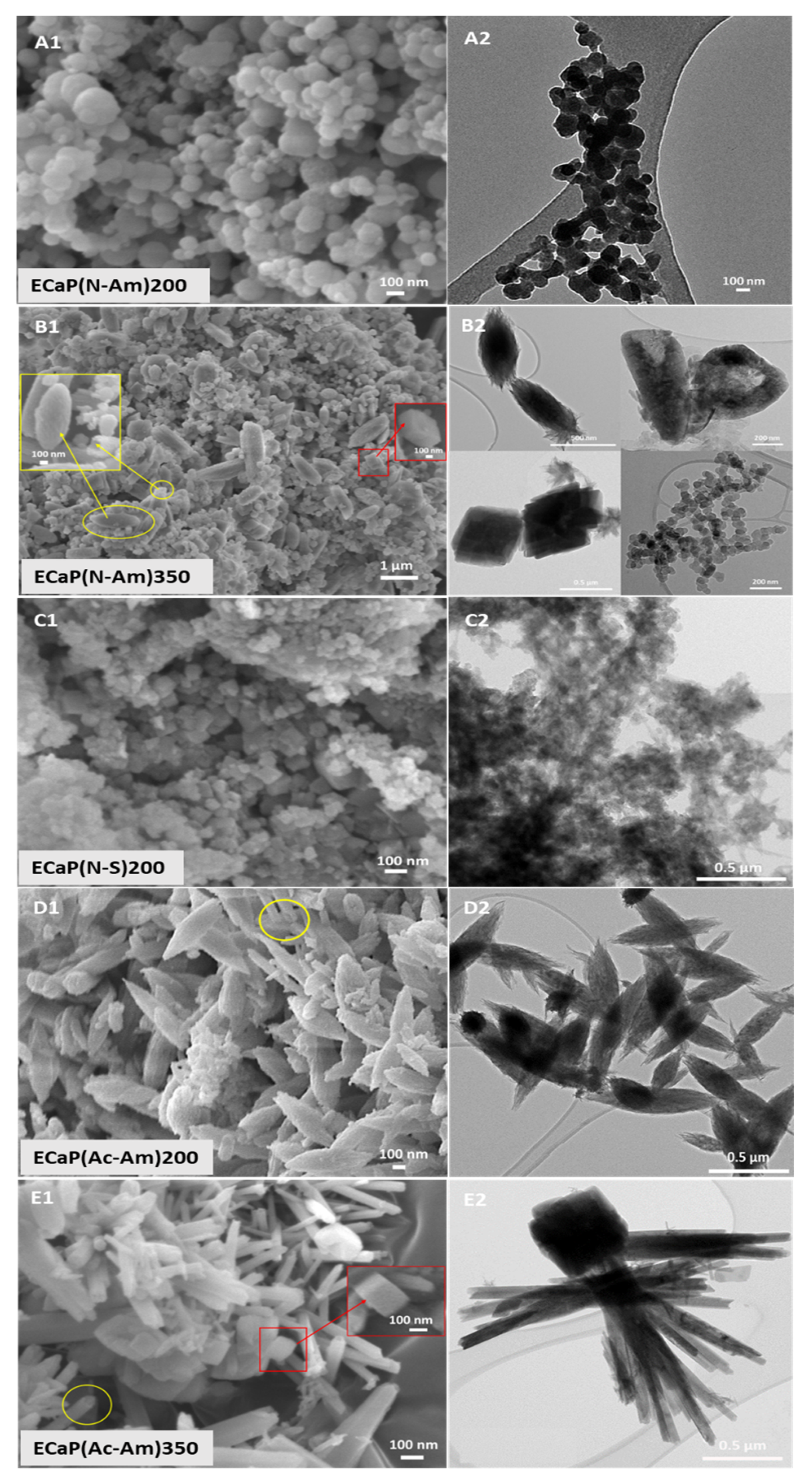 Materials 16 02138 g005 Materials 16 02138 g005