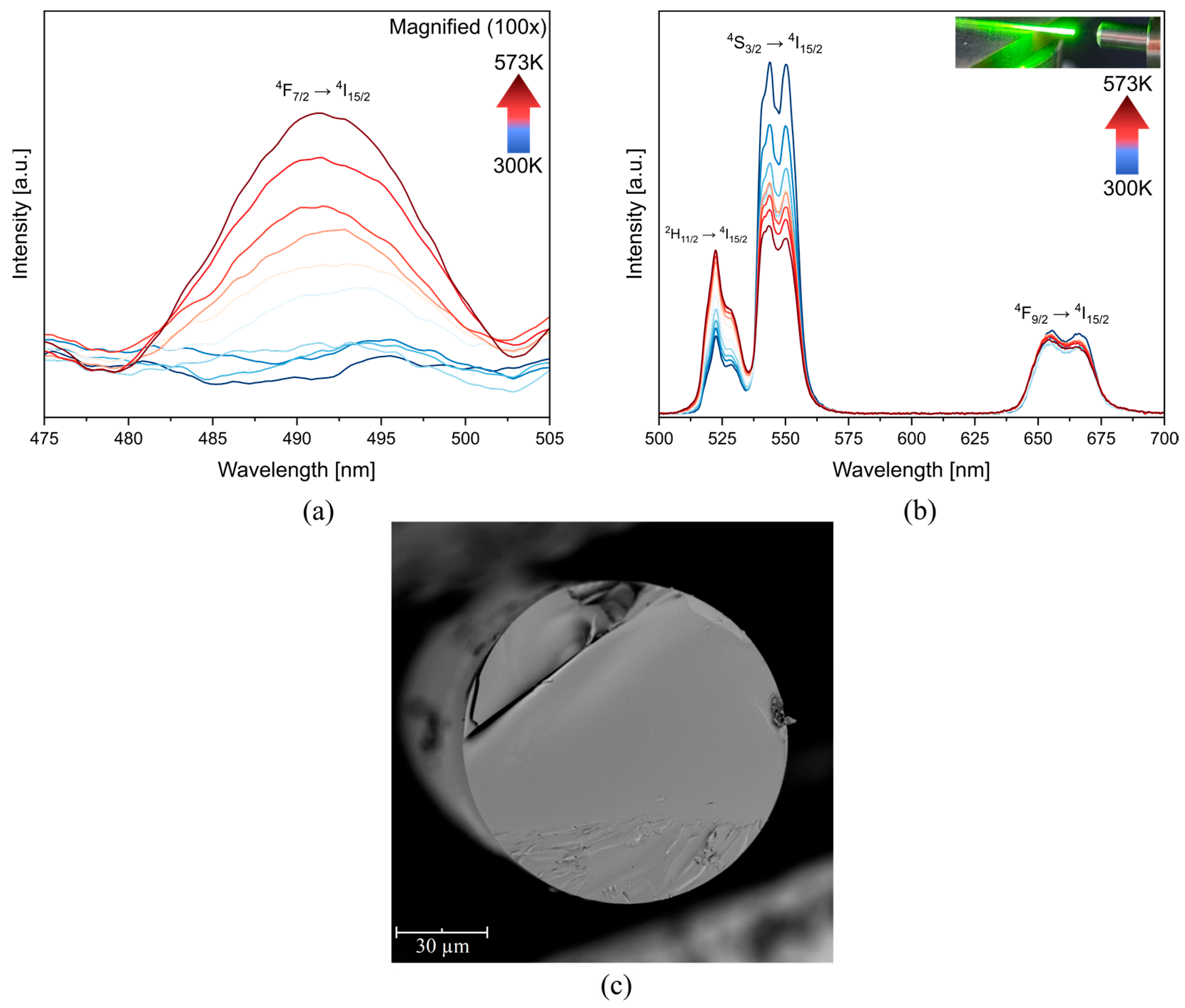 Materials 16 02139 g005 Materials 16 02139 g005