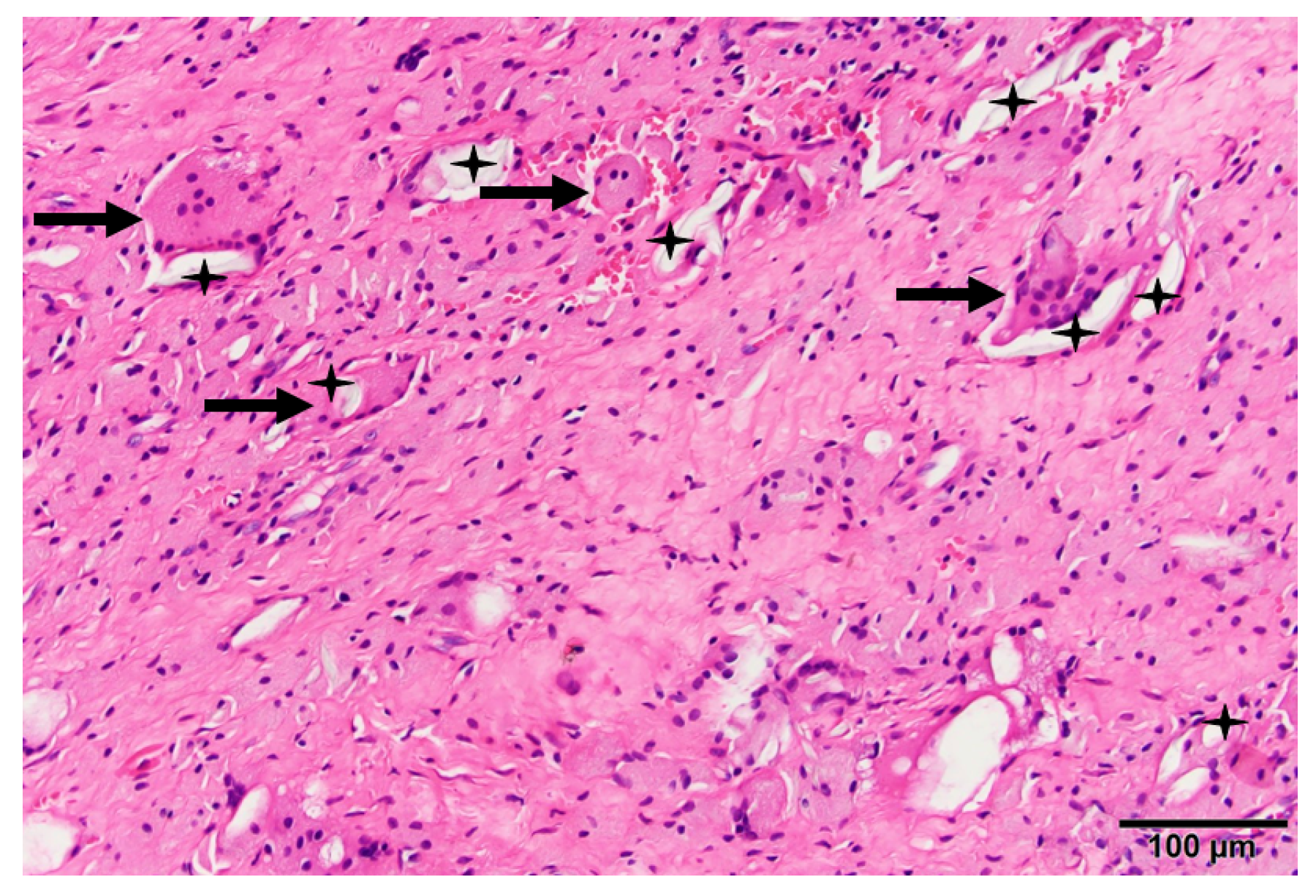 Materials 16 02140 g002