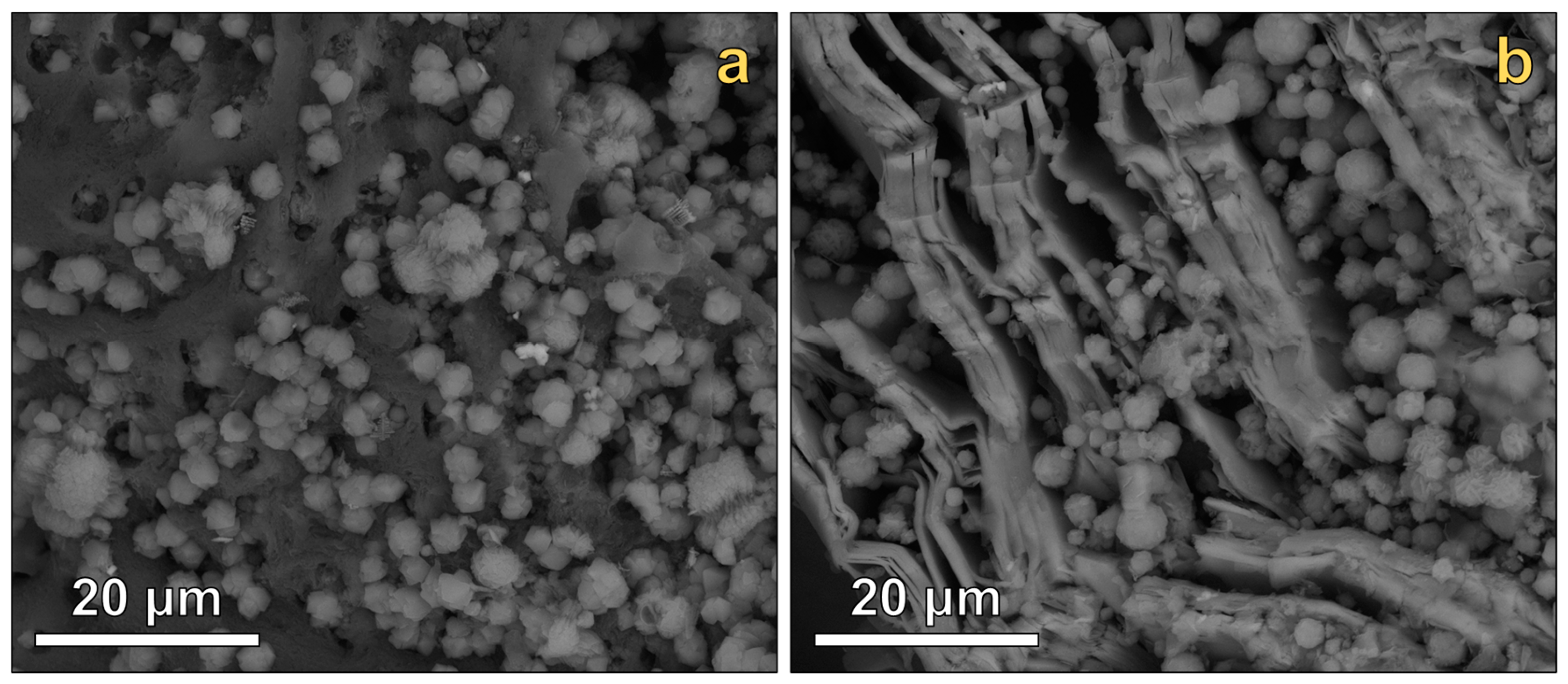 Materials 16 02142 g004