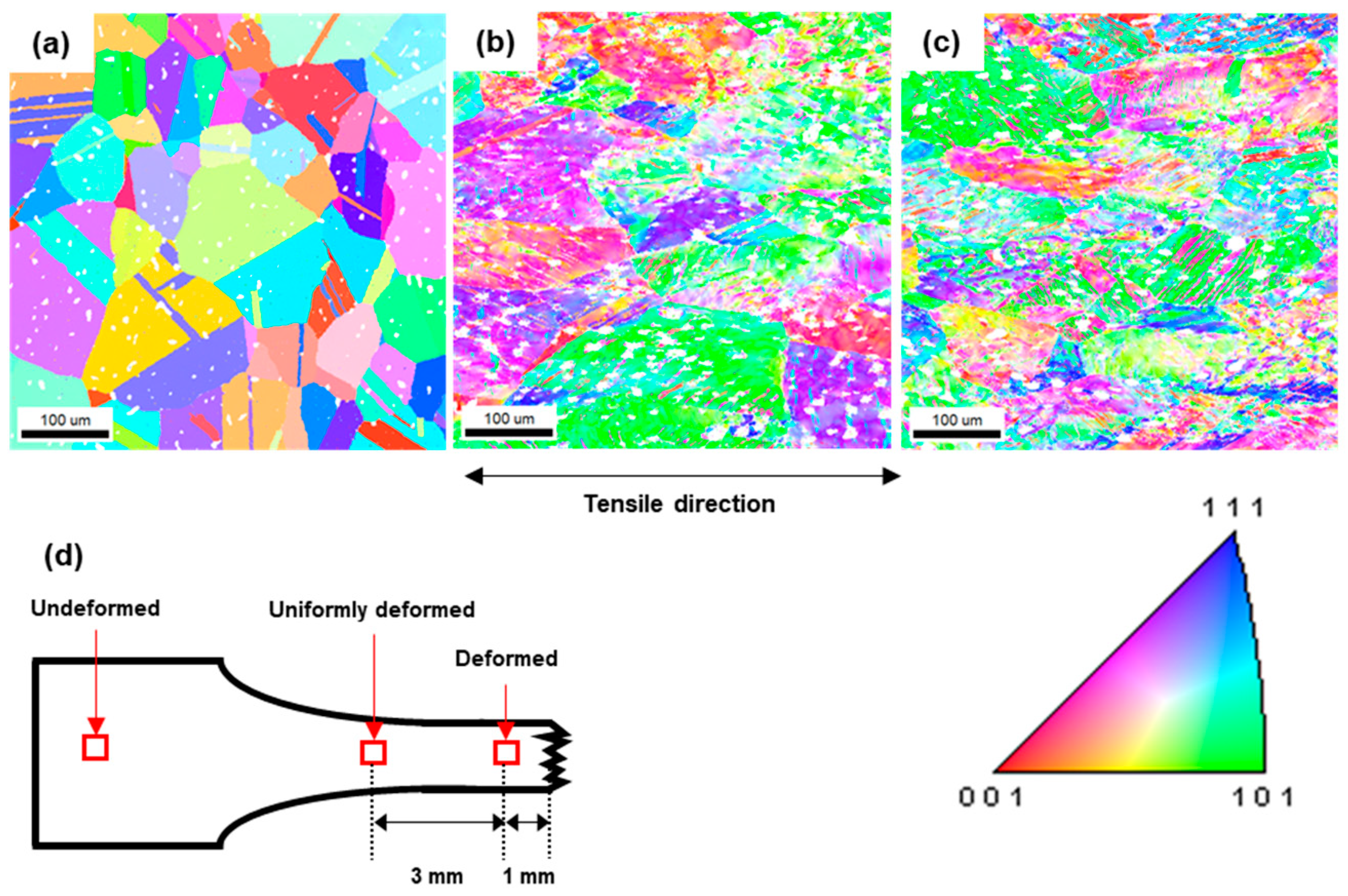 Materials 16 02144 g007 Materials 16 02144 g007