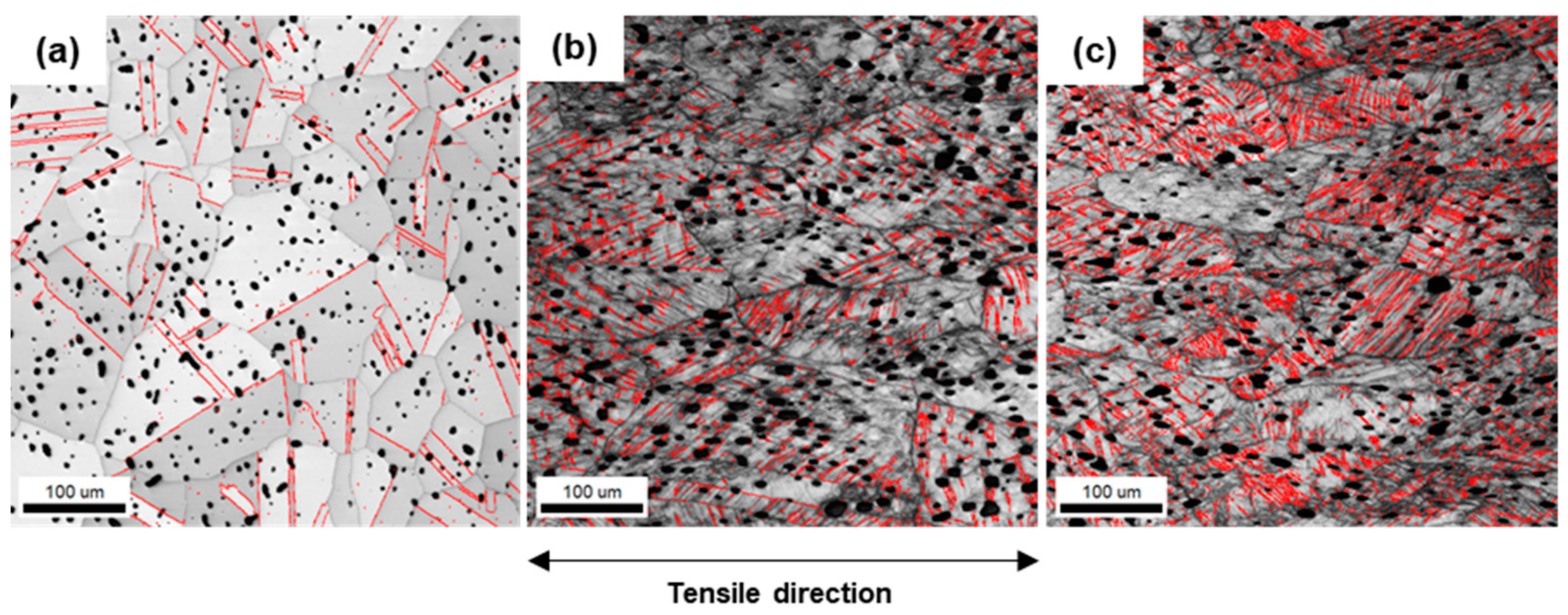 Materials 16 02144 g008 Materials 16 02144 g008