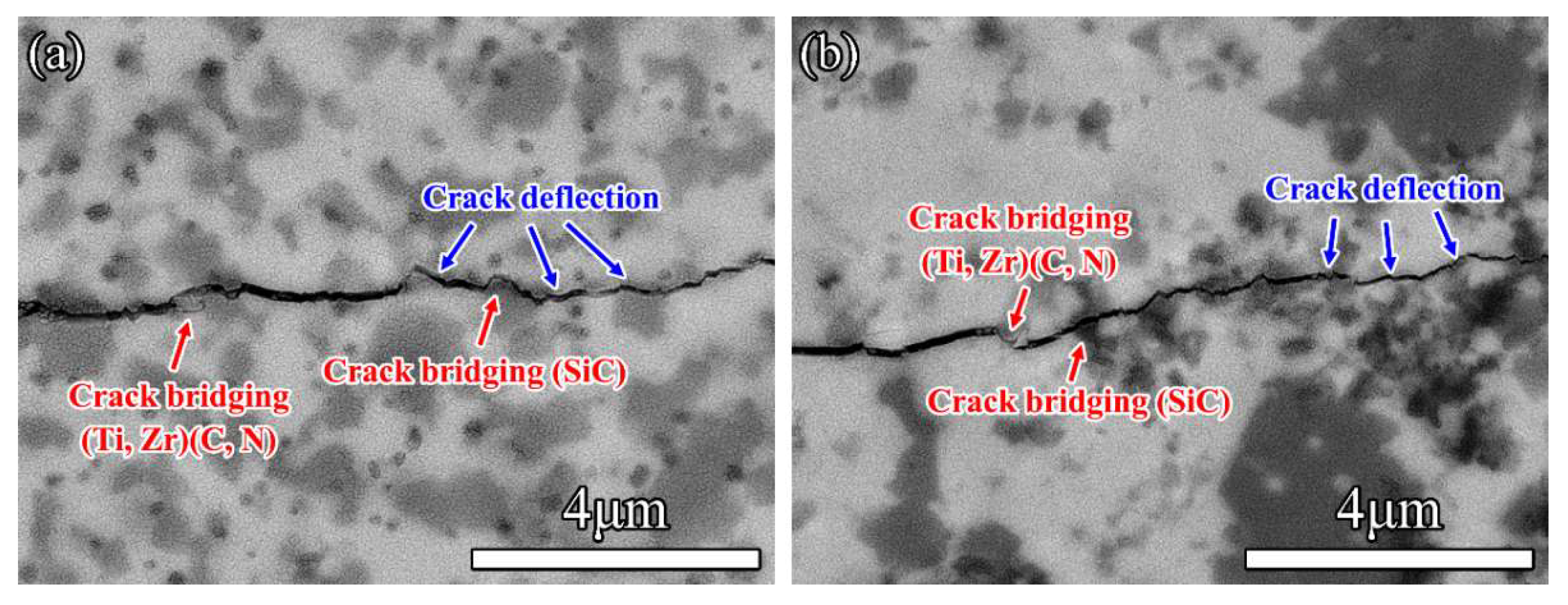 Materials 16 02145 g010 Materials 16 02145 g010