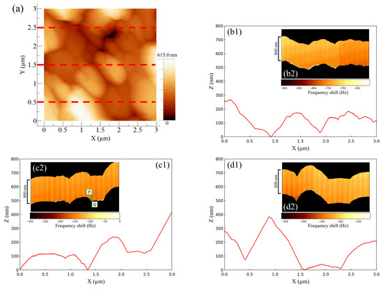 NANOSENSORS™ PointProbe Plus PPP-NCHAuD AFM Probes were used in this article - news