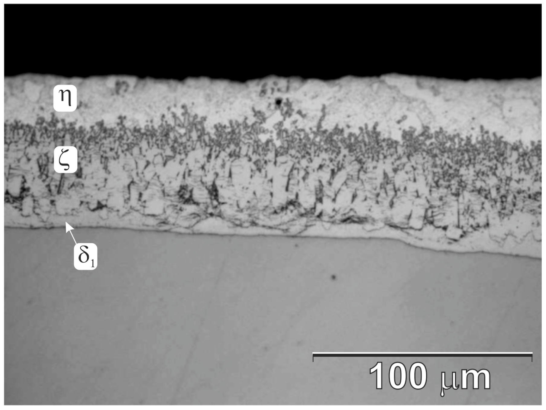 Materials 16 02162 g005