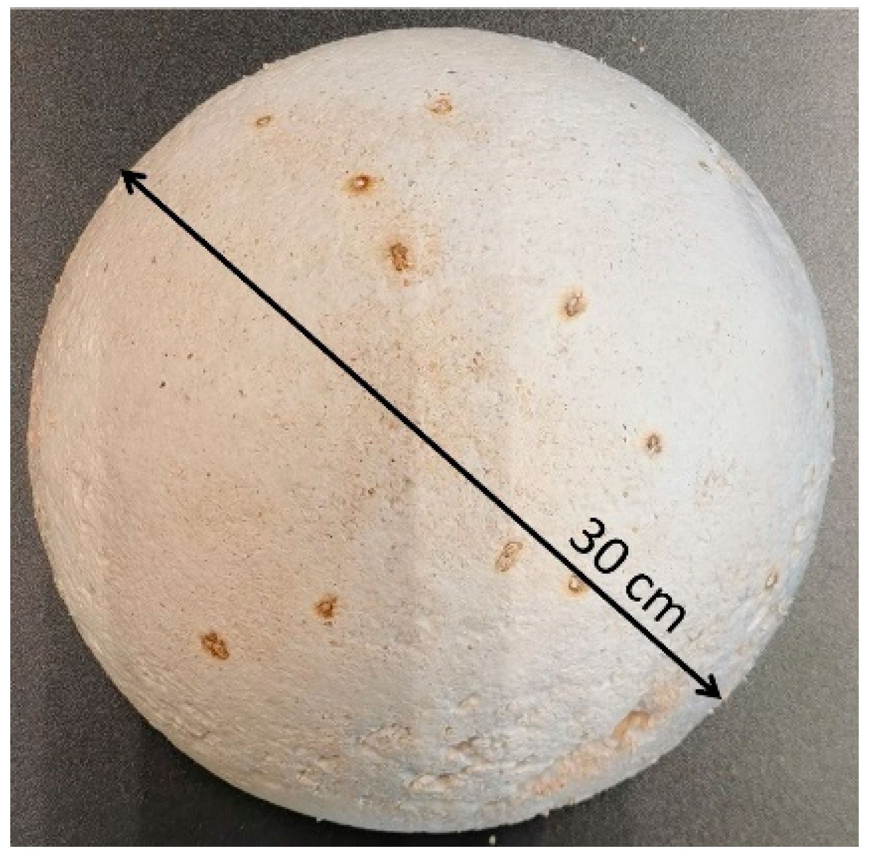 Materials 16 02164 g001