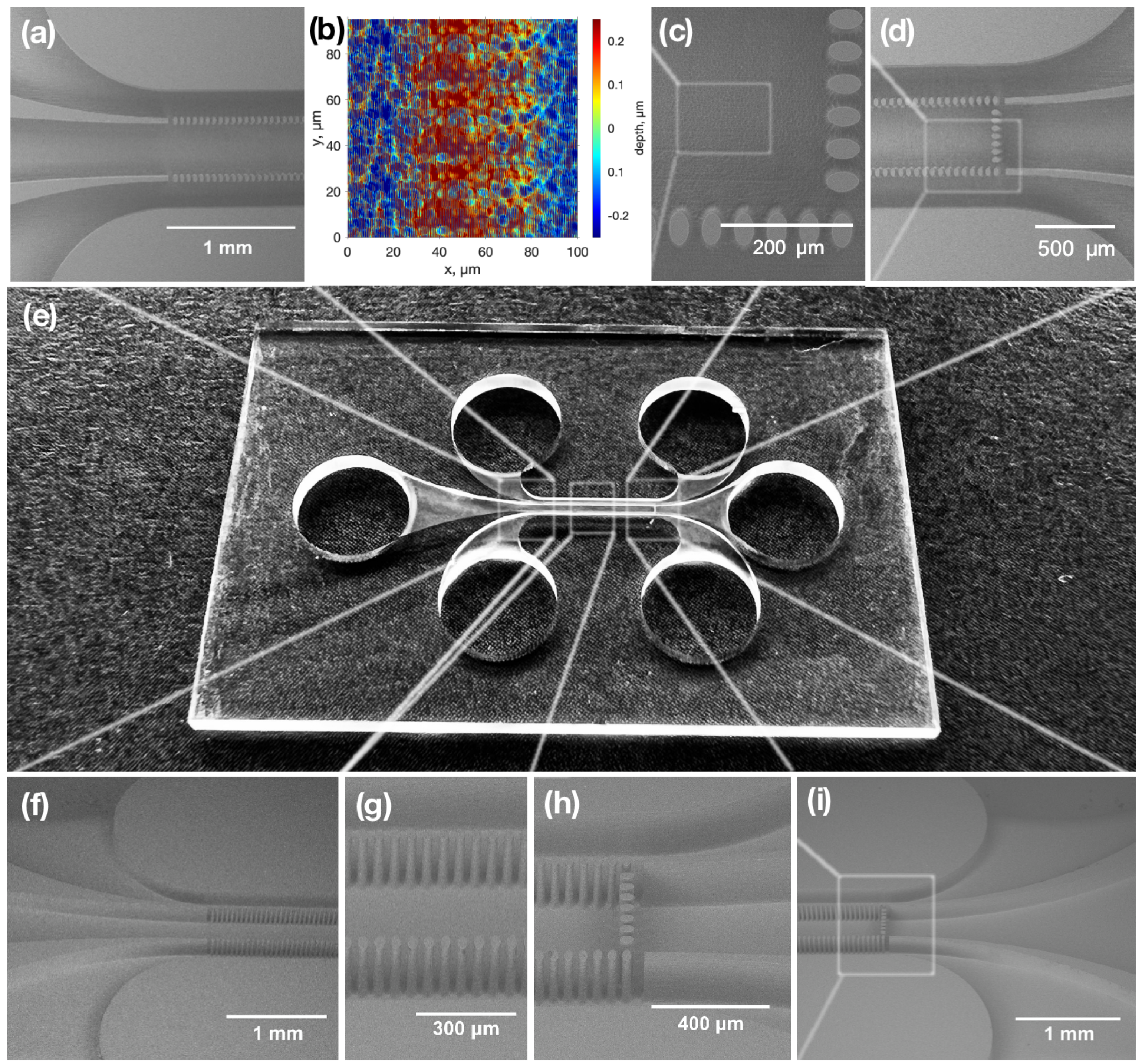 Materials 16 02174 g003 Materials 16 02174 g003