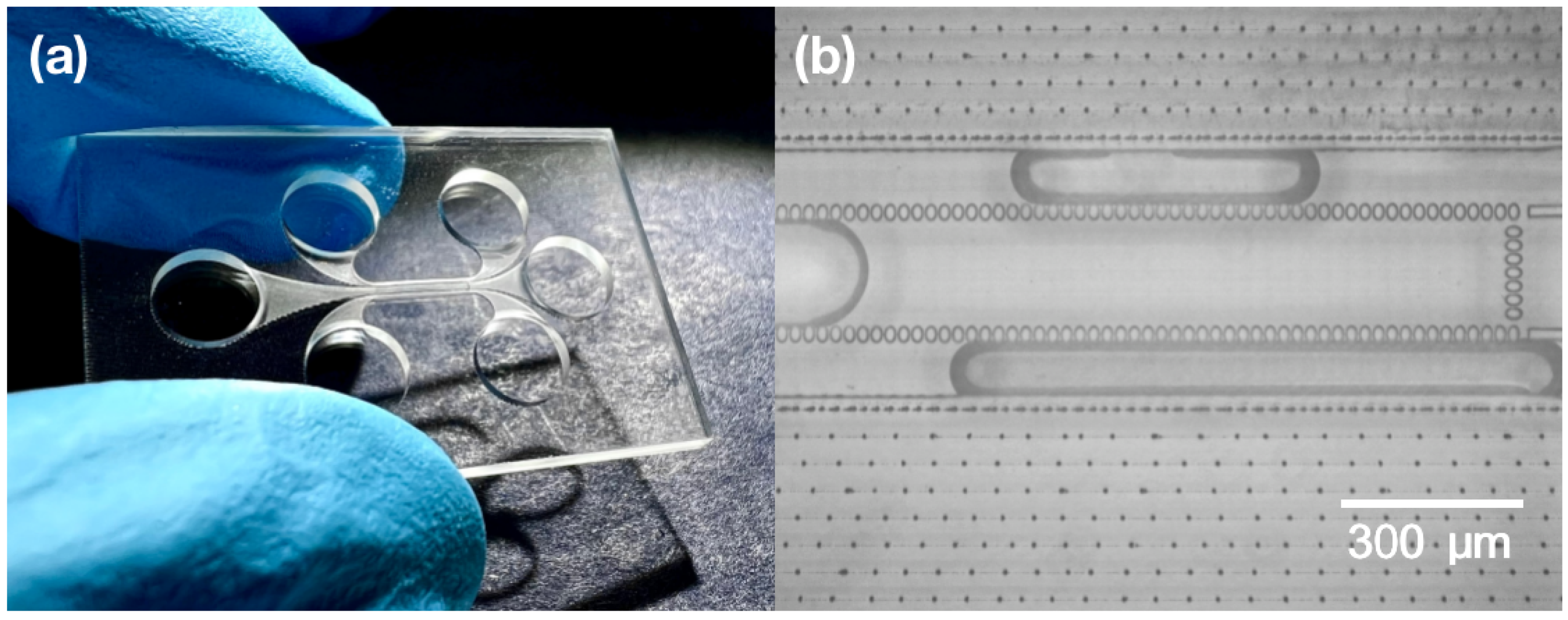 Materials 16 02174 g004 Materials 16 02174 g004