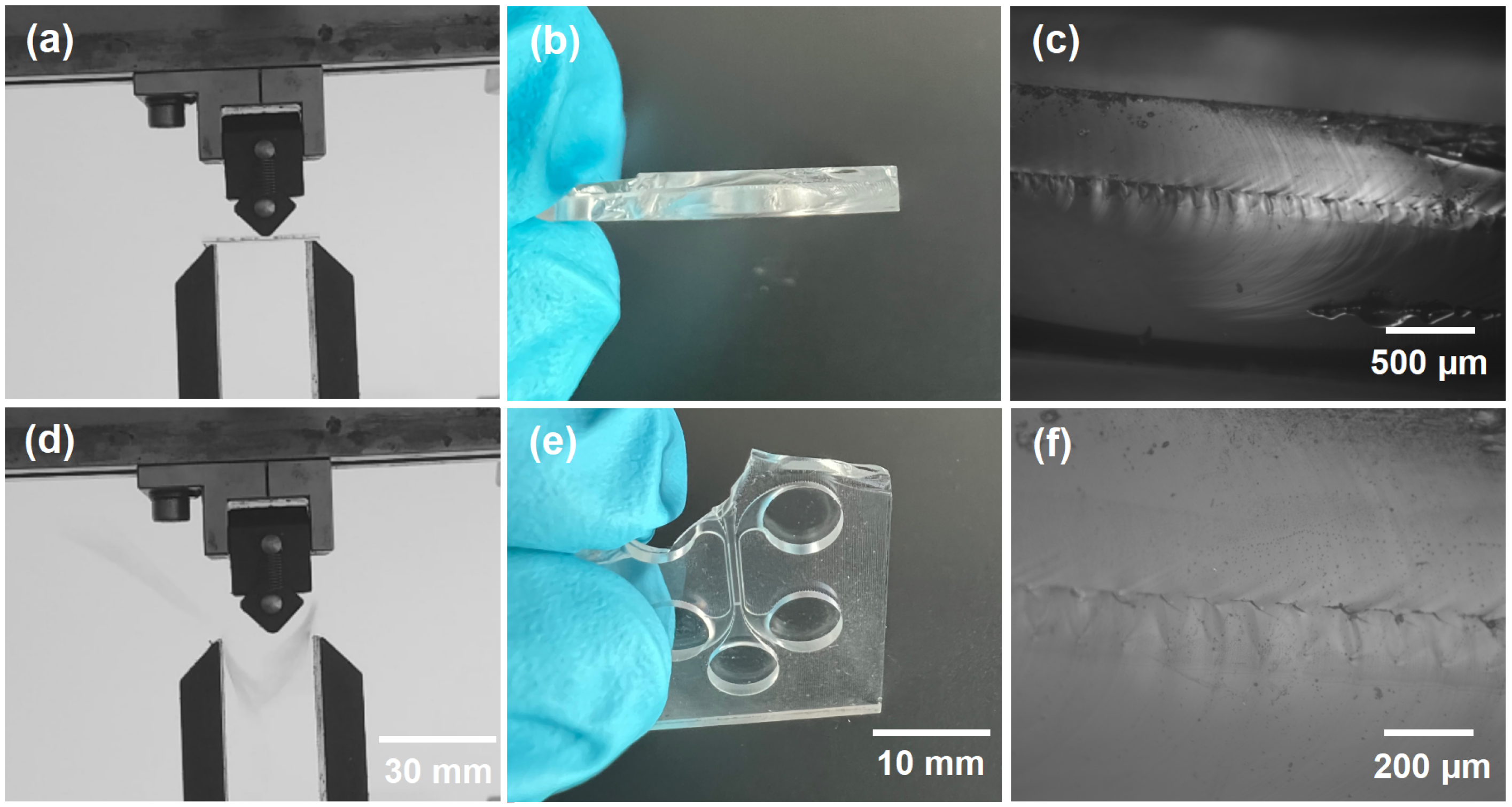 Materials 16 02174 g005 Materials 16 02174 g005